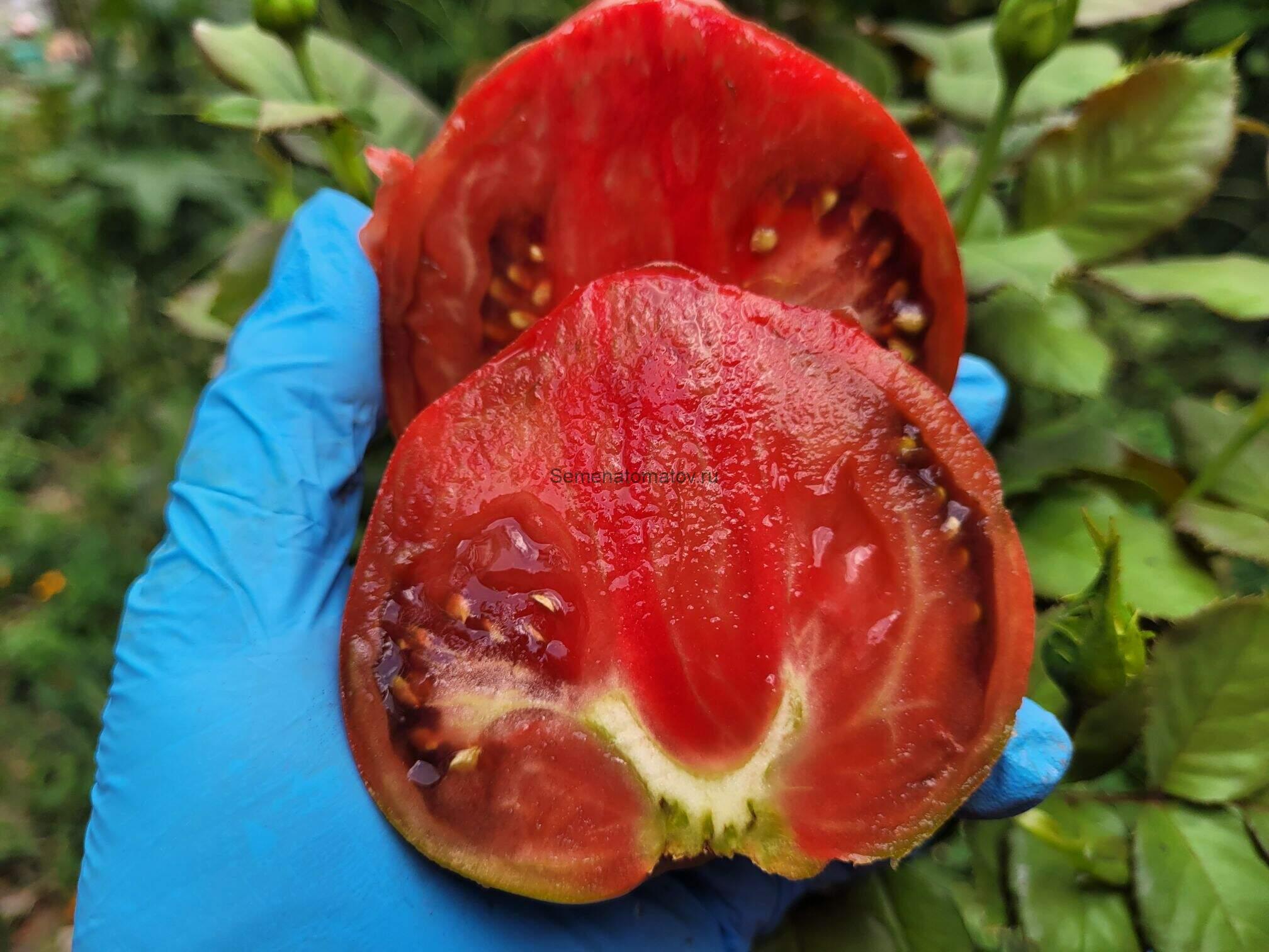 Reinhard's Purple Heart (Пурпурное сердце Райнхарда) — изображение 2