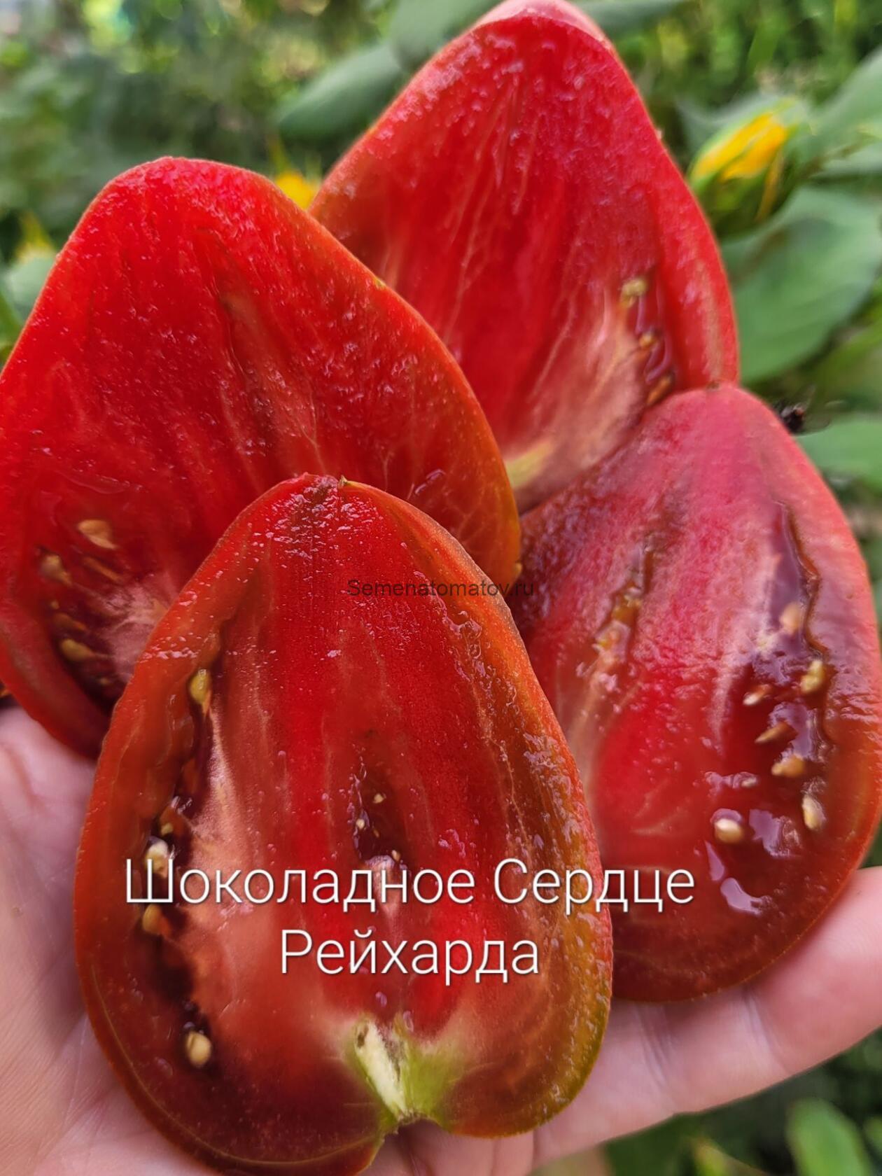 Шоколадное сердце Рейнхарда ( Reinhard's Chocolate Heart, Германия) — изображение 2