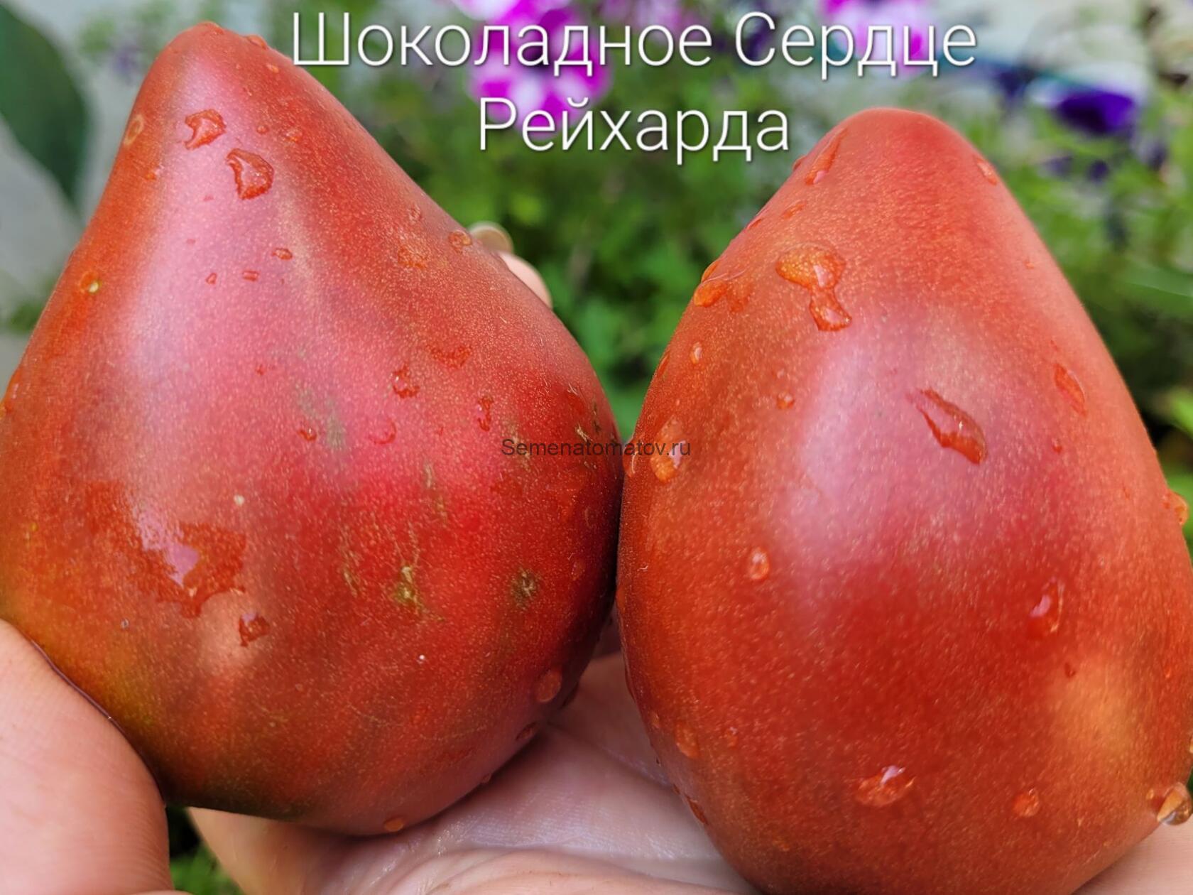 Шоколадное сердце Рейнхарда ( Reinhard's Chocolate Heart, Германия)