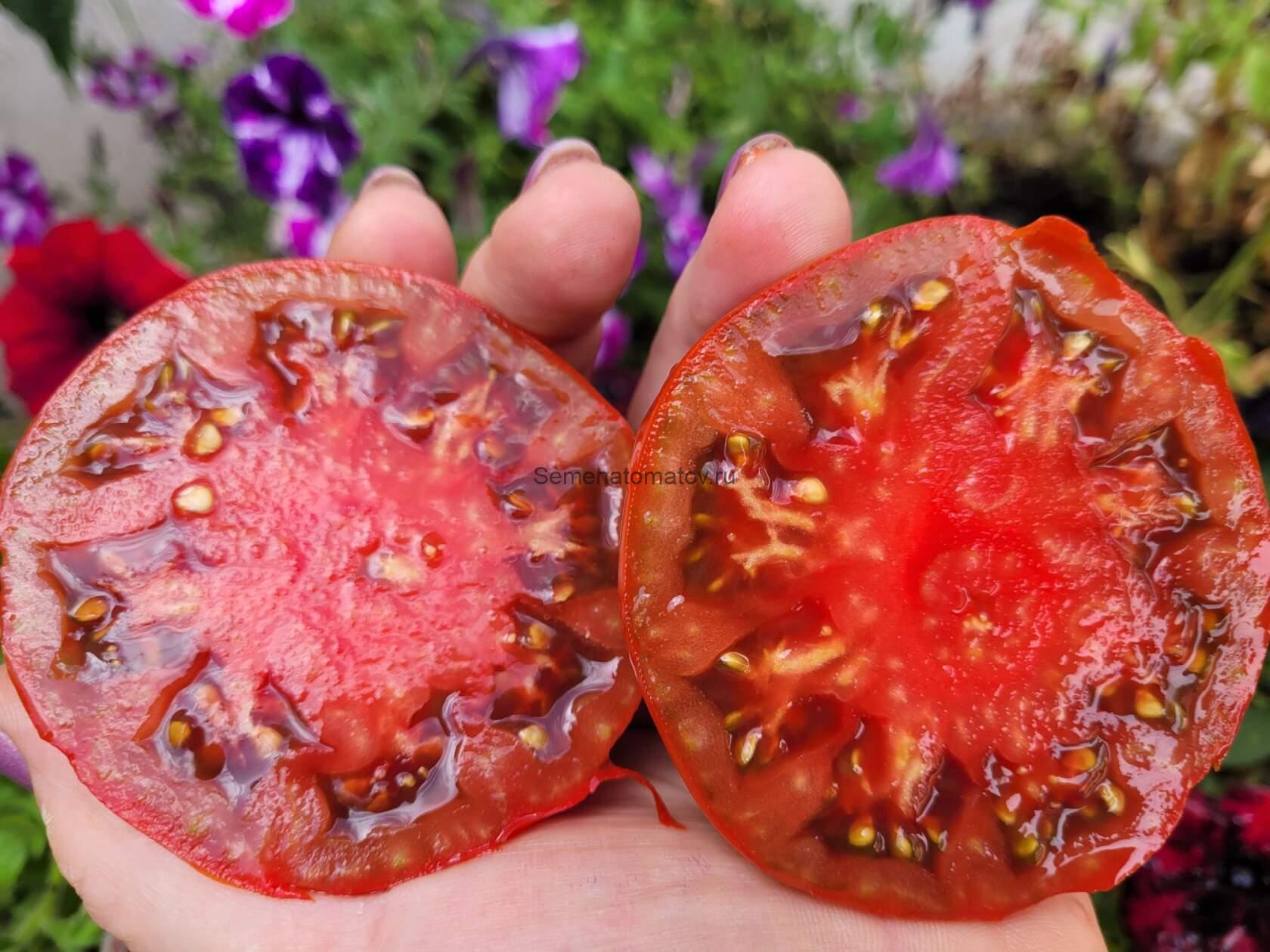 Сербский Черный — изображение 2