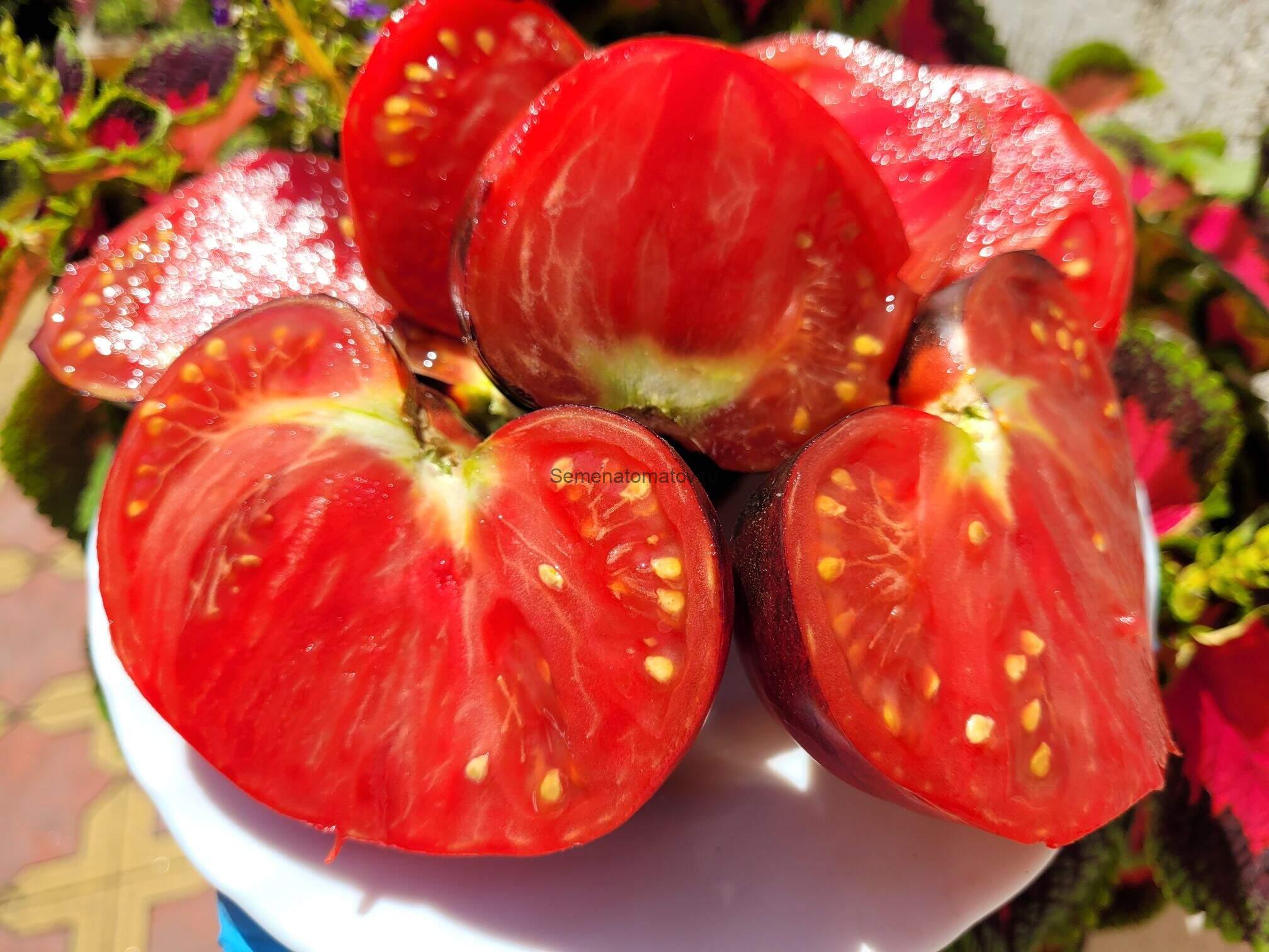 Сержант Пеппер (Sgt. Pepper's) — изображение 6