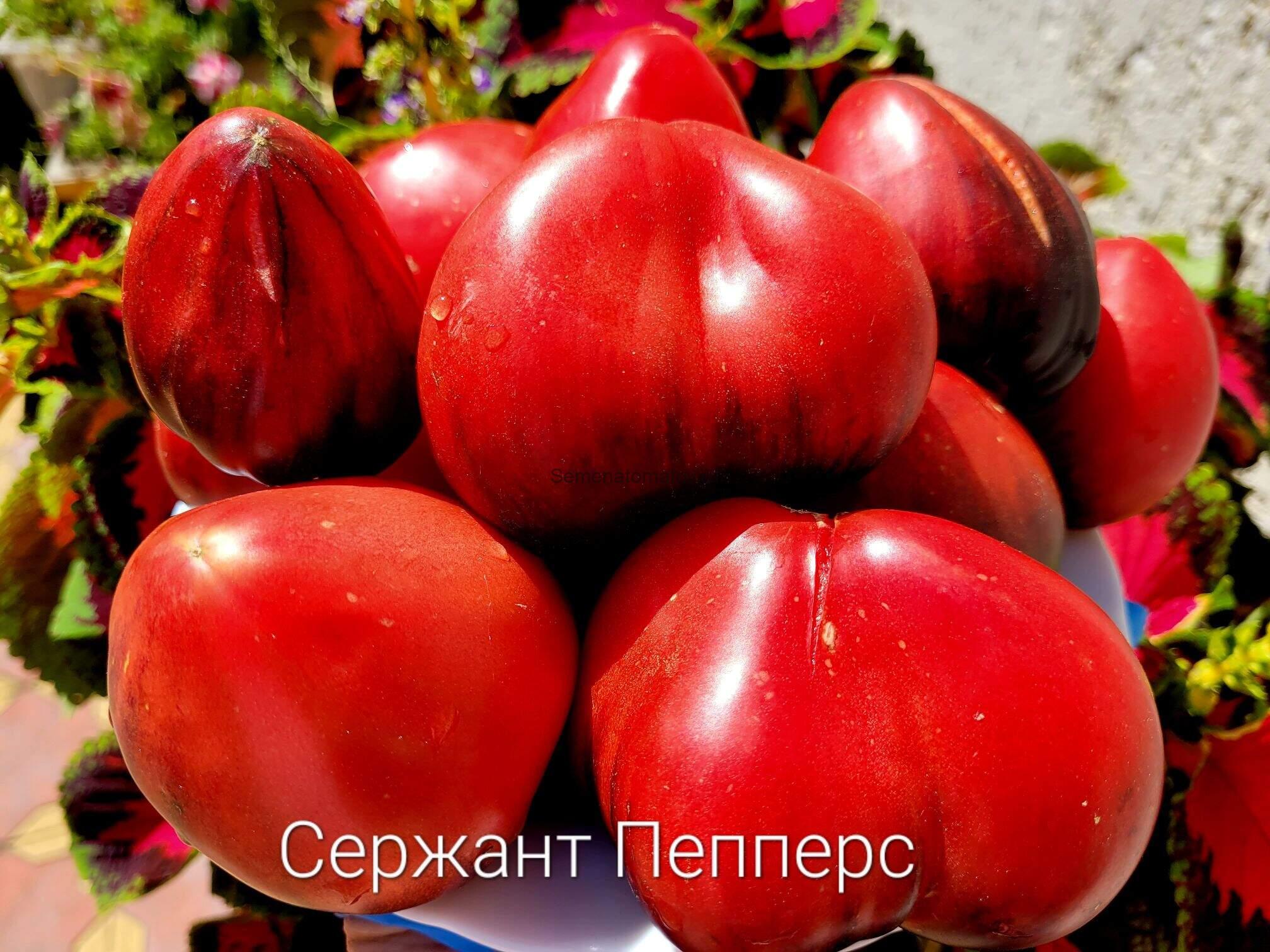 Сержант Пеппер (Sgt. Pepper's)