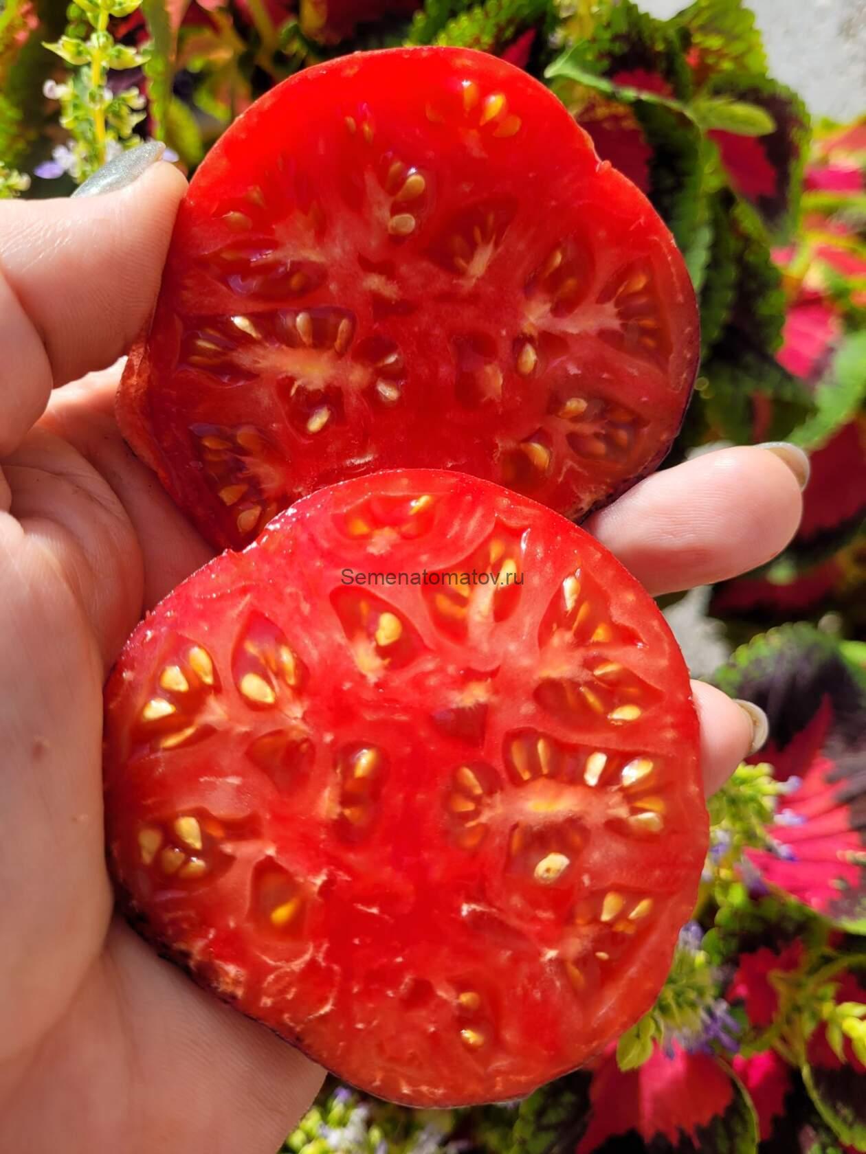 Синее Чудо — изображение 2