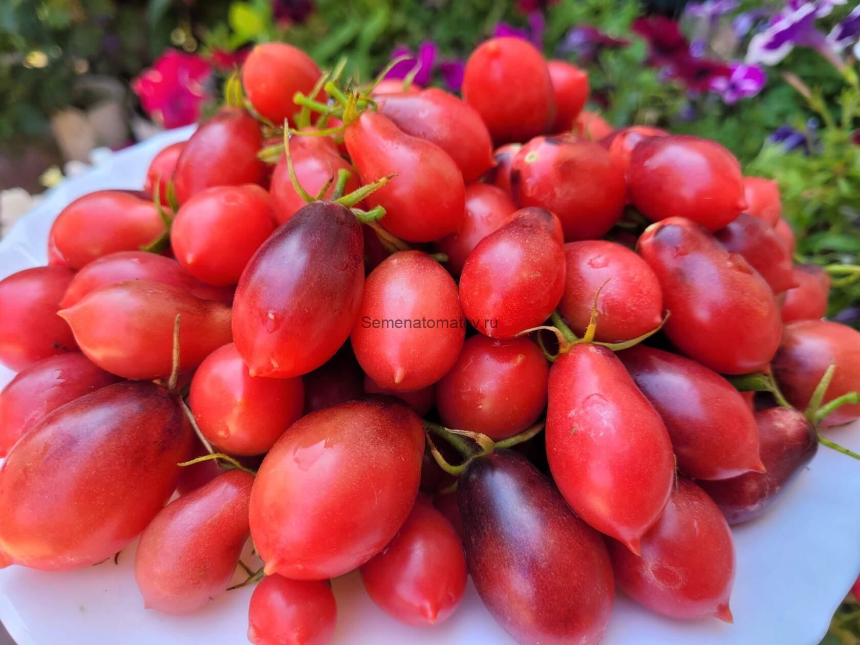 (Märchenengel) Сказочный ангел Розовый