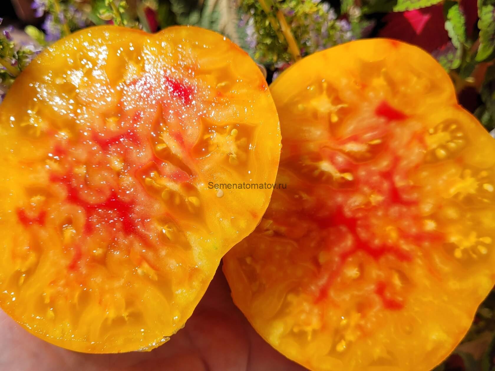 Тайна Марси ( Marcy’s Mystery, США) — изображение 2