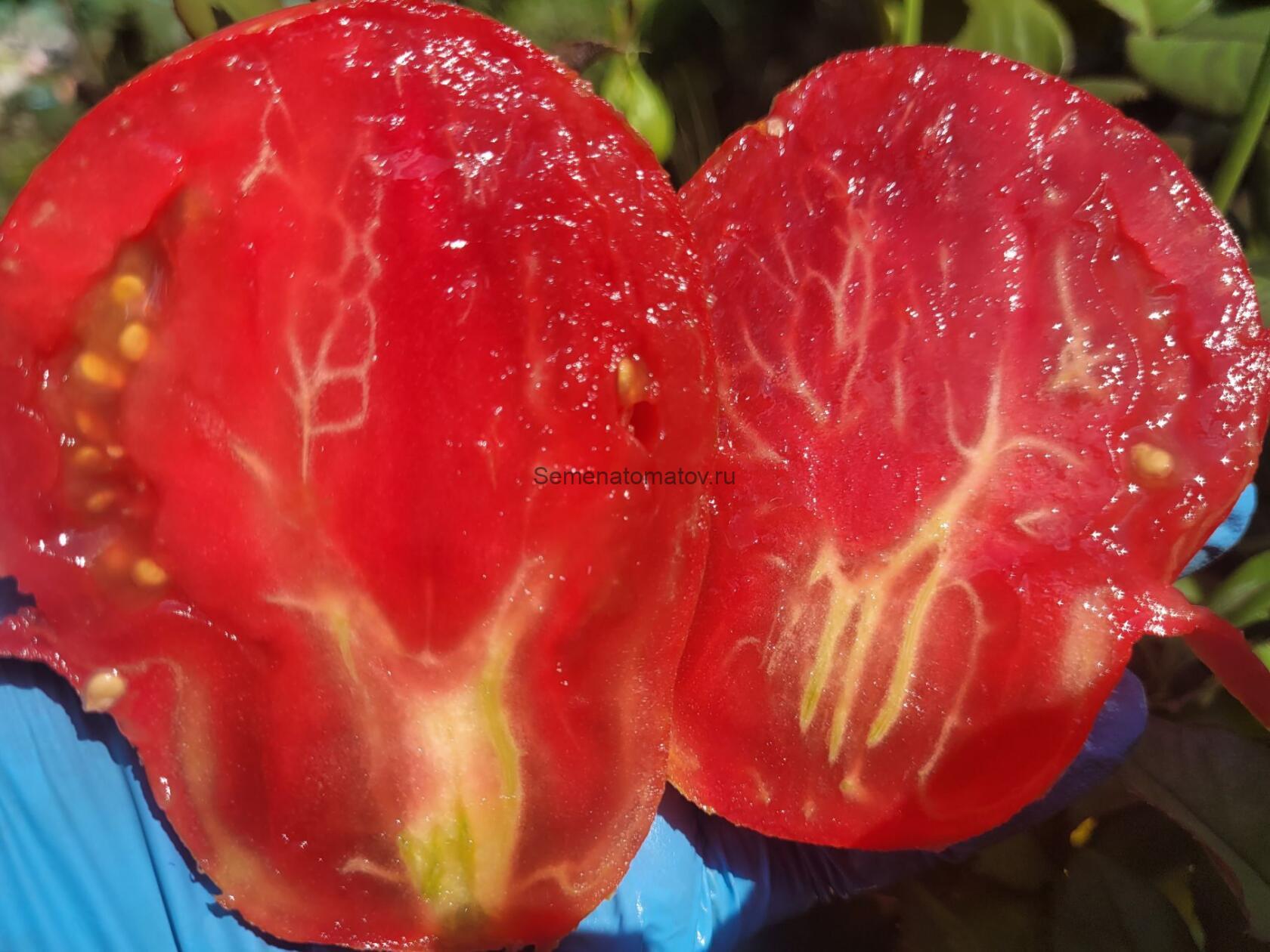 Твоя Улыбка — изображение 2