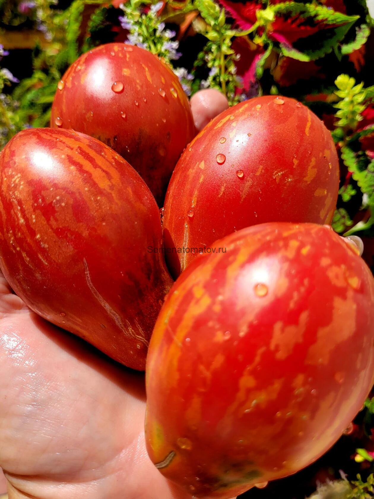 Твоя Улыбка