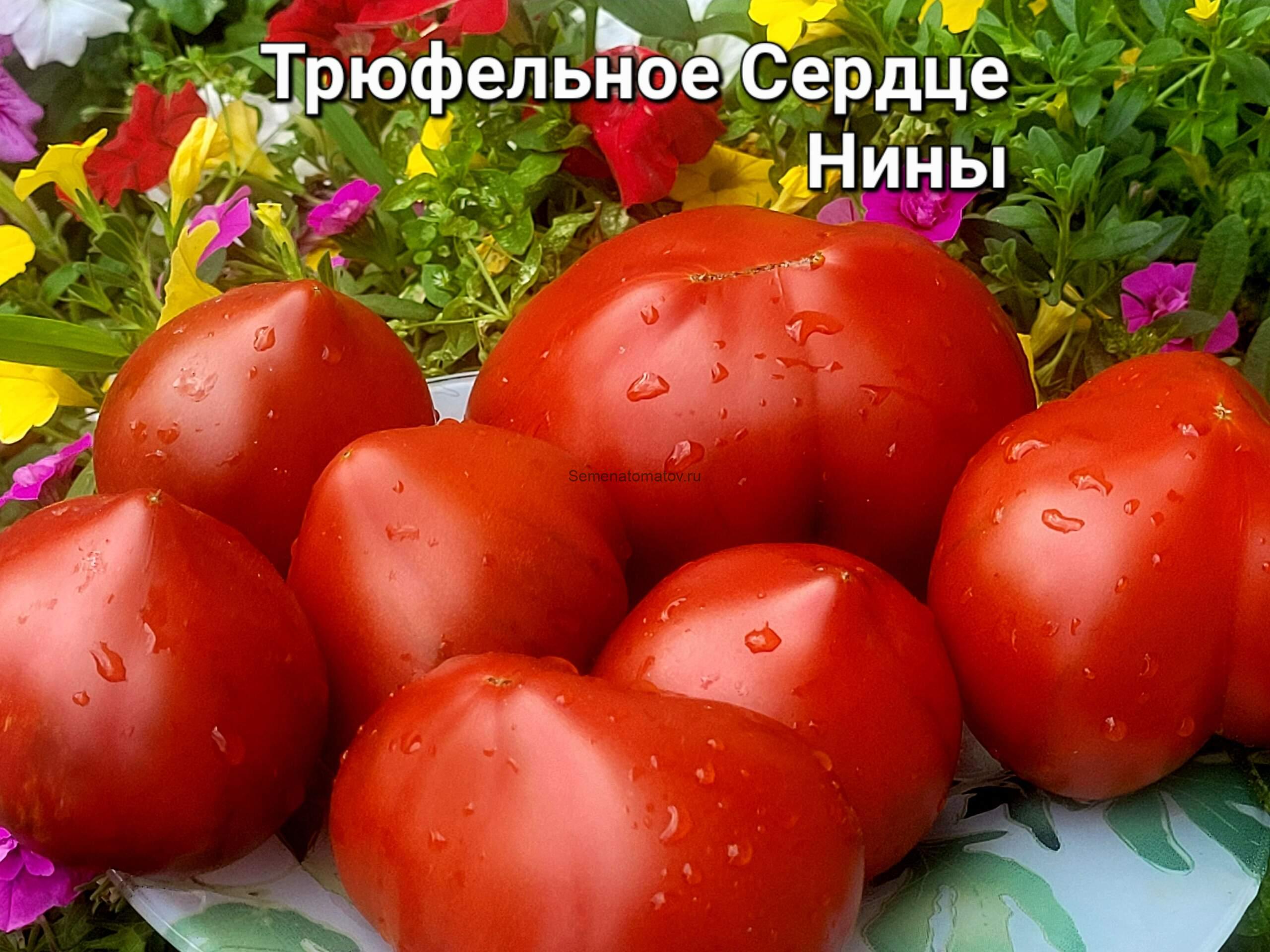 Трюфельное Сердце Нины — изображение 4