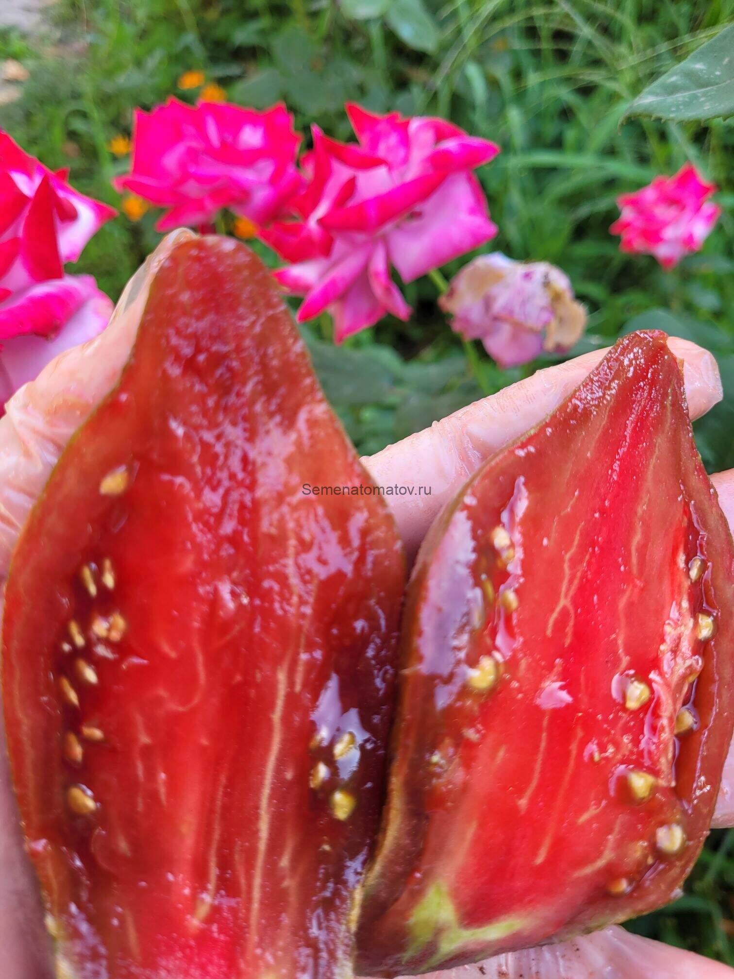 Черный Тюльпан — изображение 3