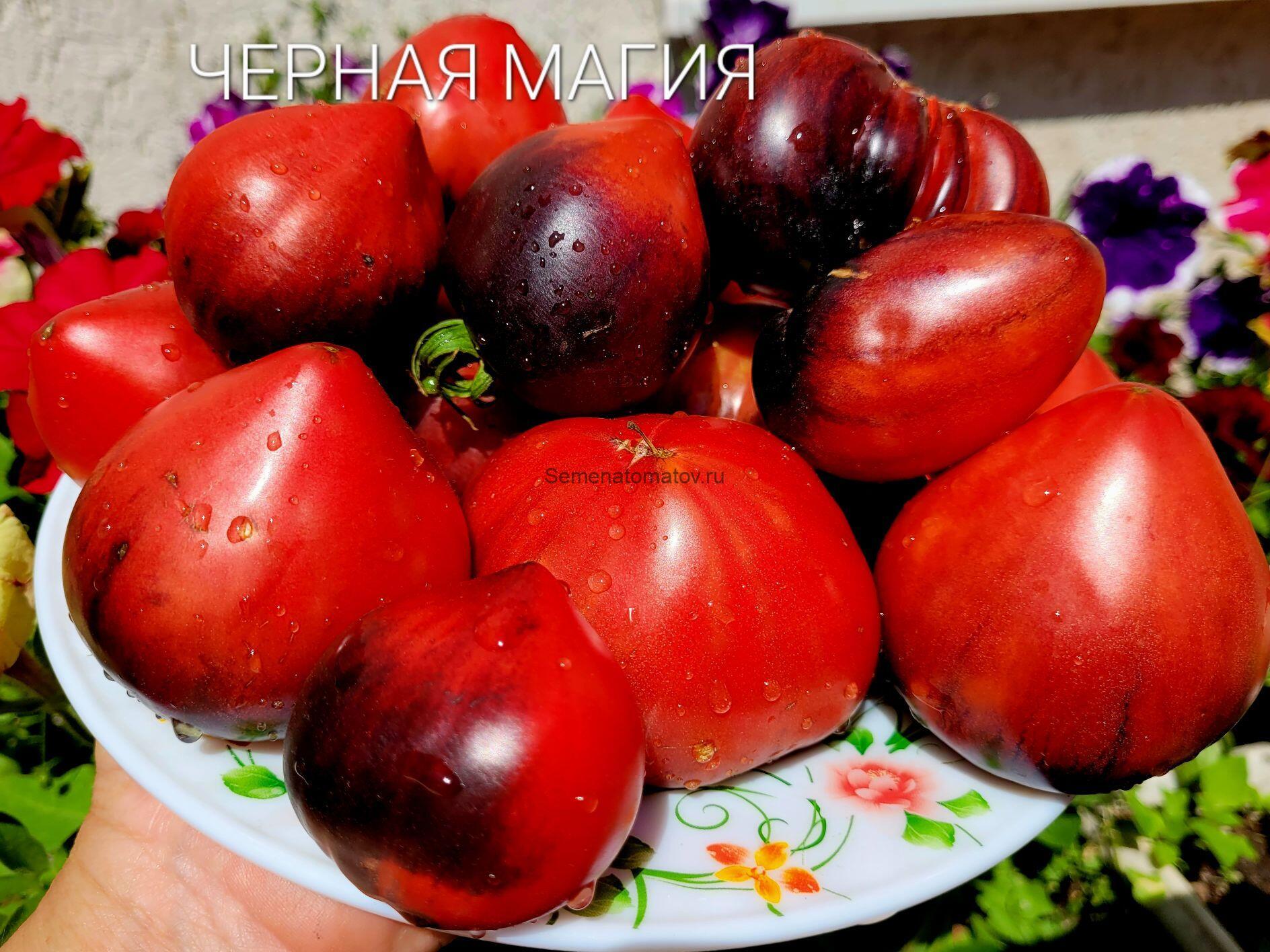 Черная Магия
