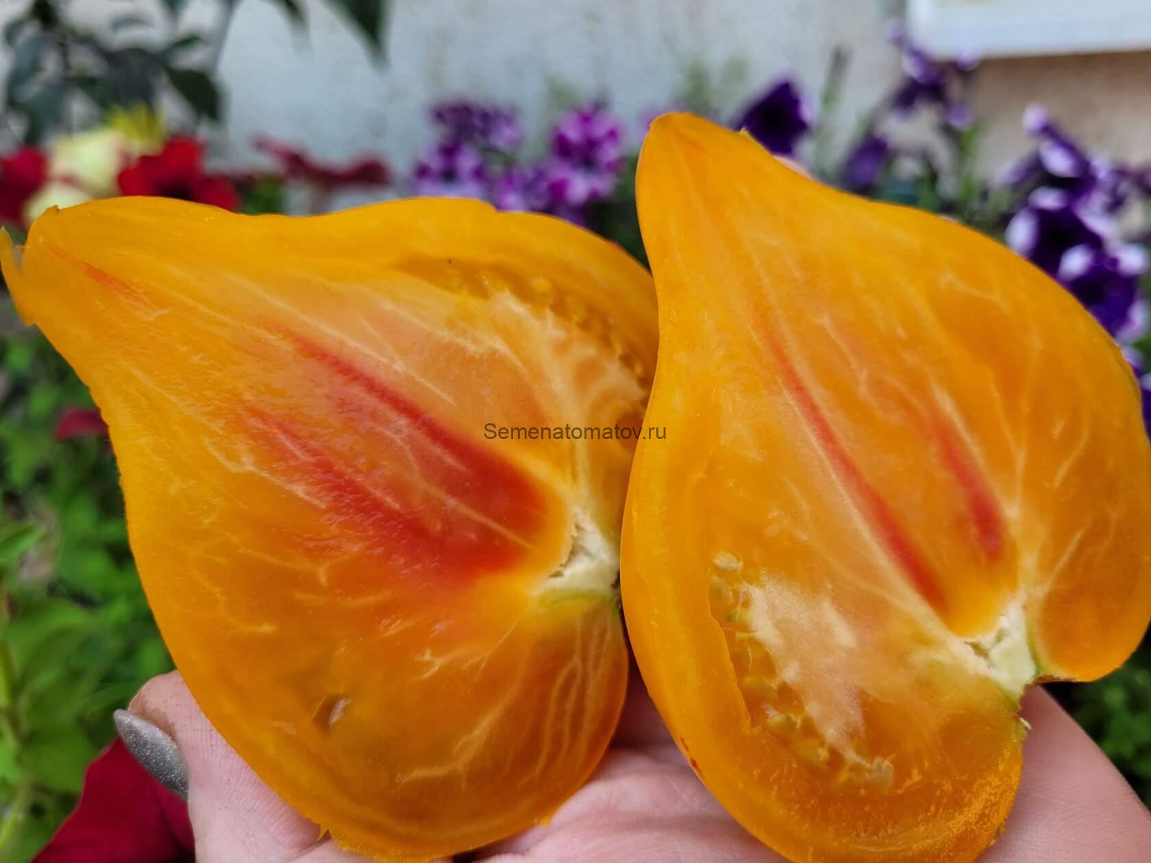 Волшебные шляпы тетушки Гретель (Tante Gretels magische Hüte) — изображение 3