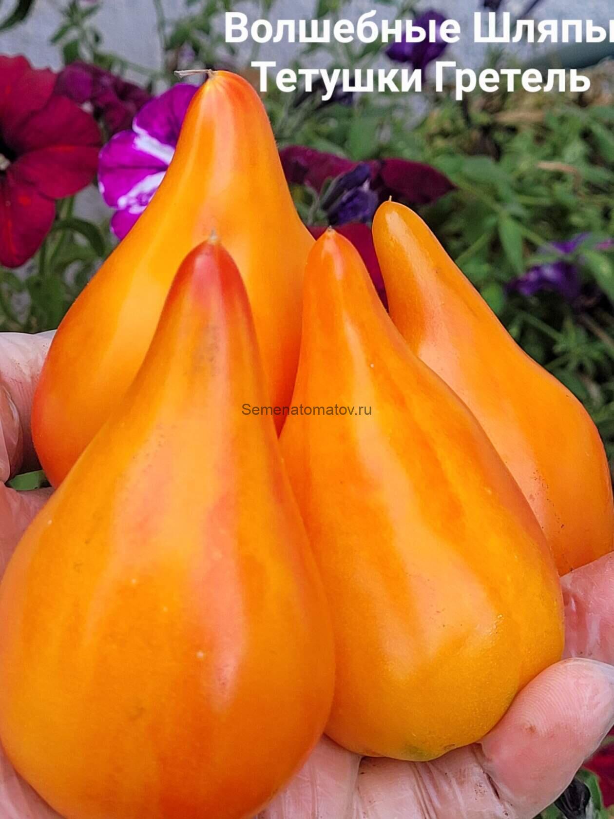 Волшебные шляпы тетушки Гретель (Tante Gretels magische Hüte)