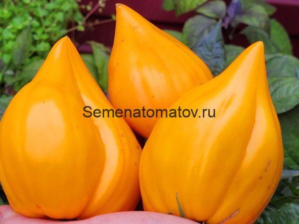 Оранжевое сердце от Анджелины (Orange heart from Angelini)