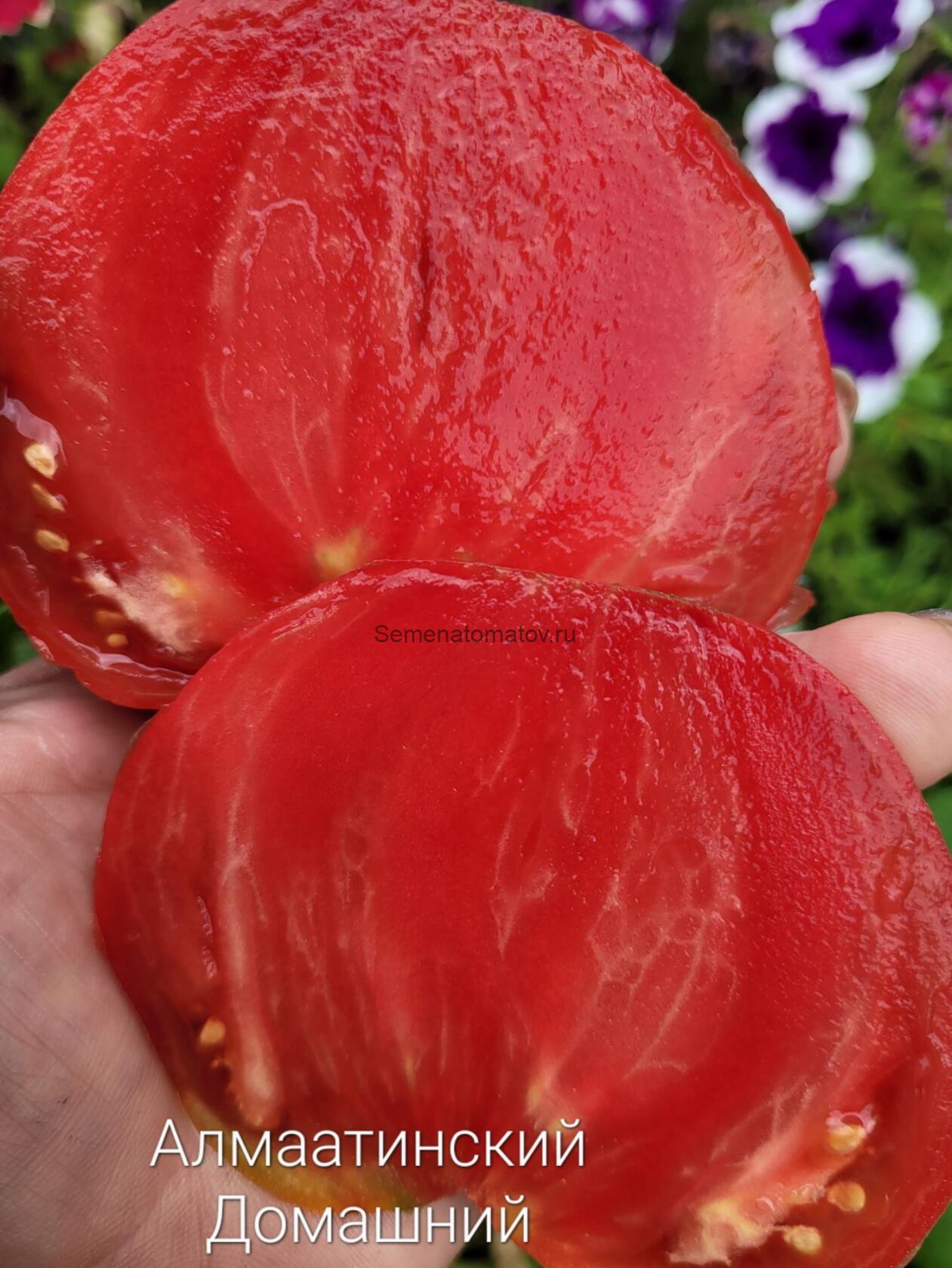 Алмаатинский Домашний — изображение 2