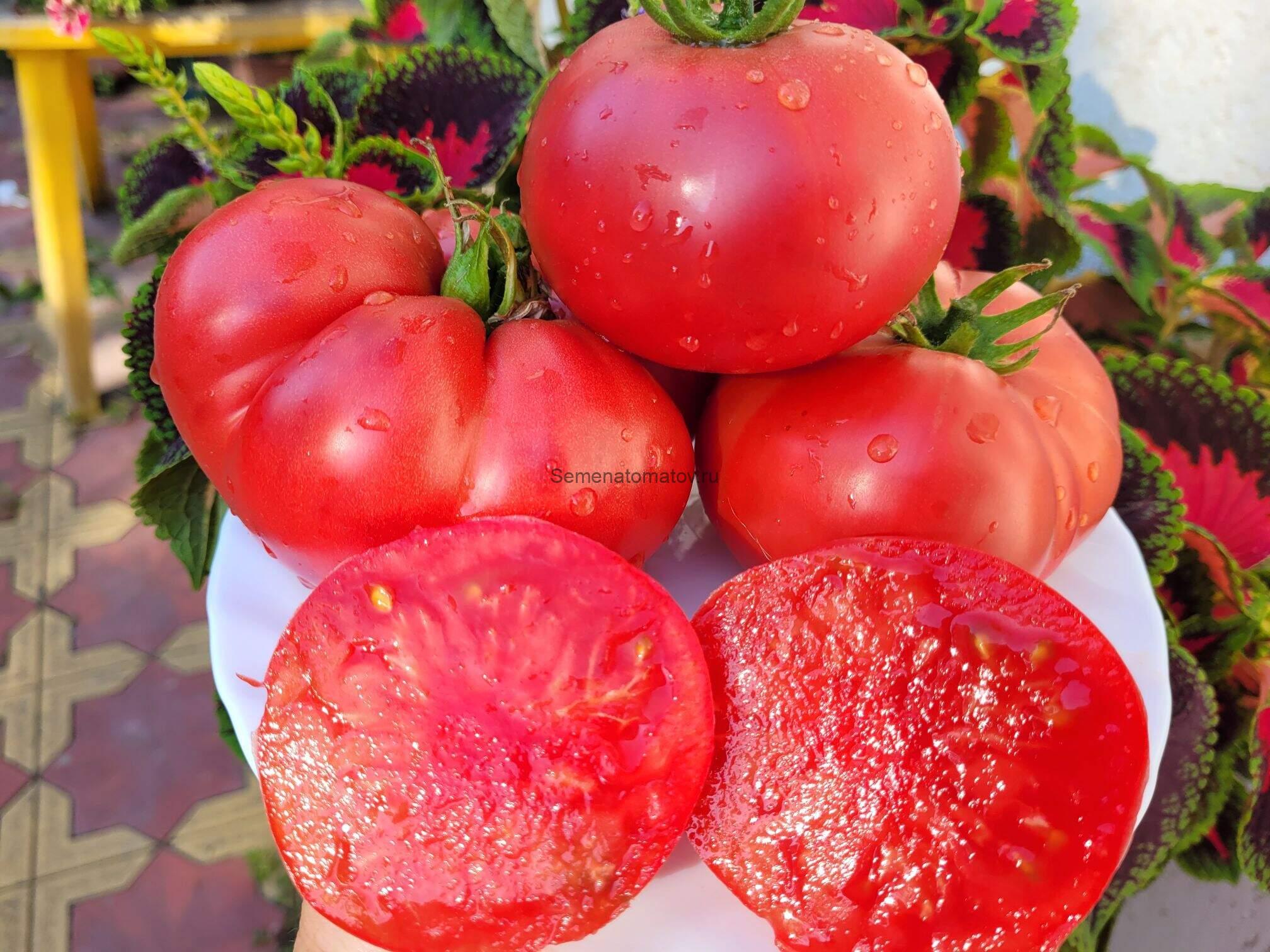 BIG MACK-Большой Мак — изображение 2