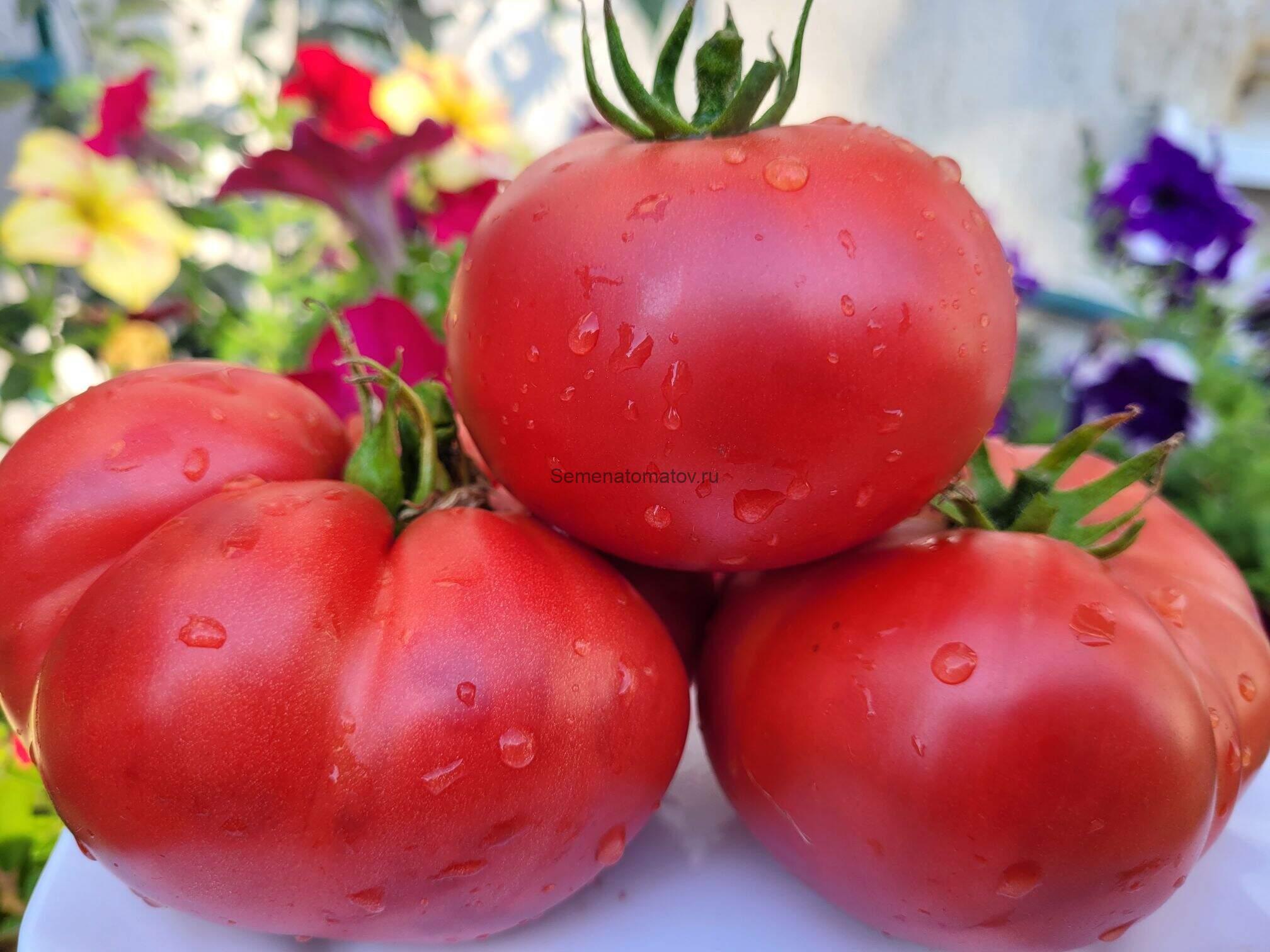 BIG MACK-Большой Мак