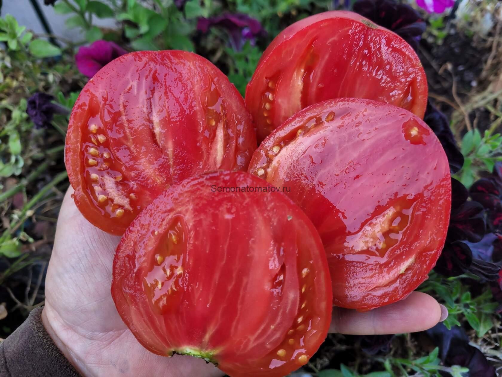 Гном Большой Валентин (Dwarf Big Valentine) — изображение 2