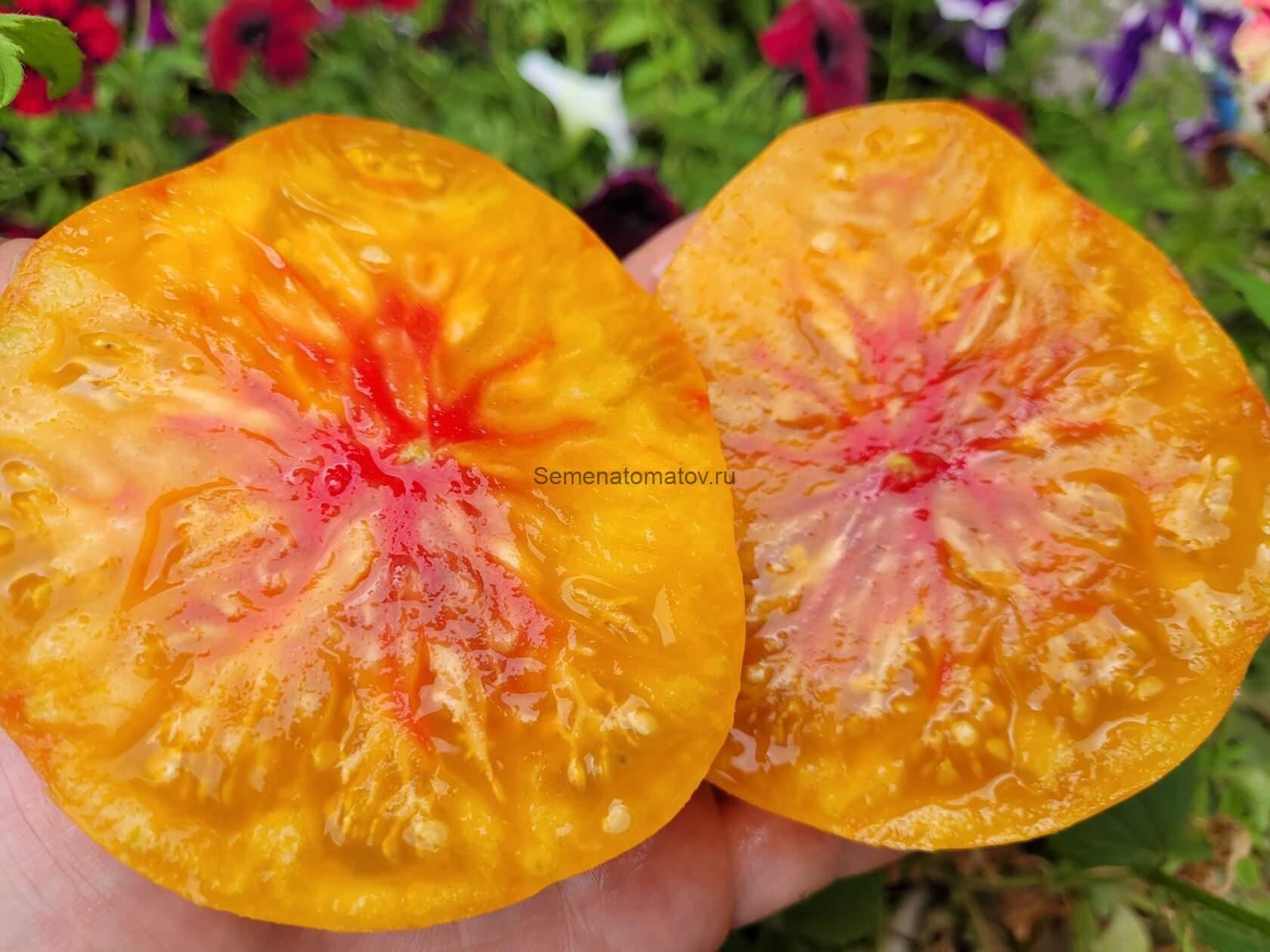 Гэсс ( Hess, Германия) — изображение 2