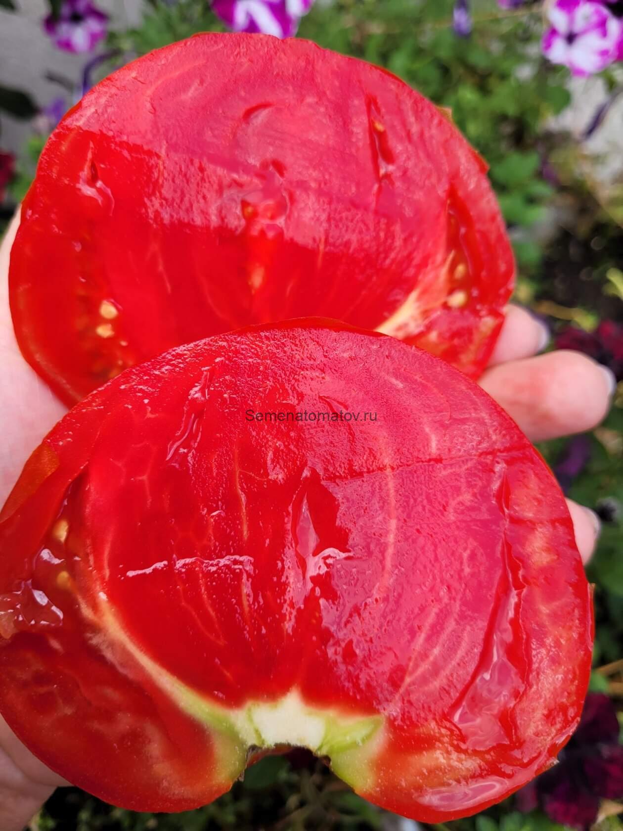 Итальянский Громадина гигант ( Giant Italian Whopper, США) — изображение 2