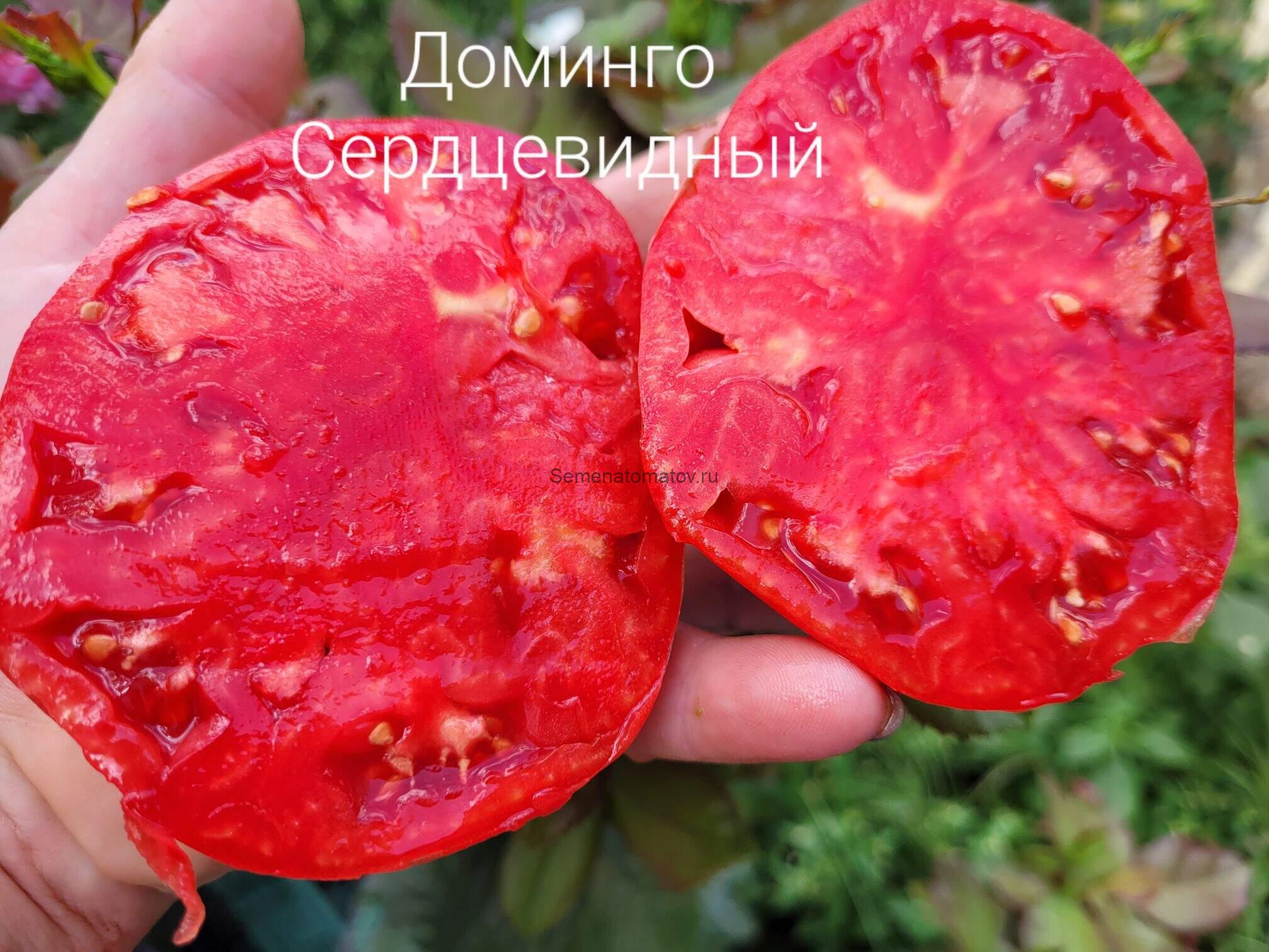 Доминго сердцевидный ( Domingo, Heart) — изображение 2