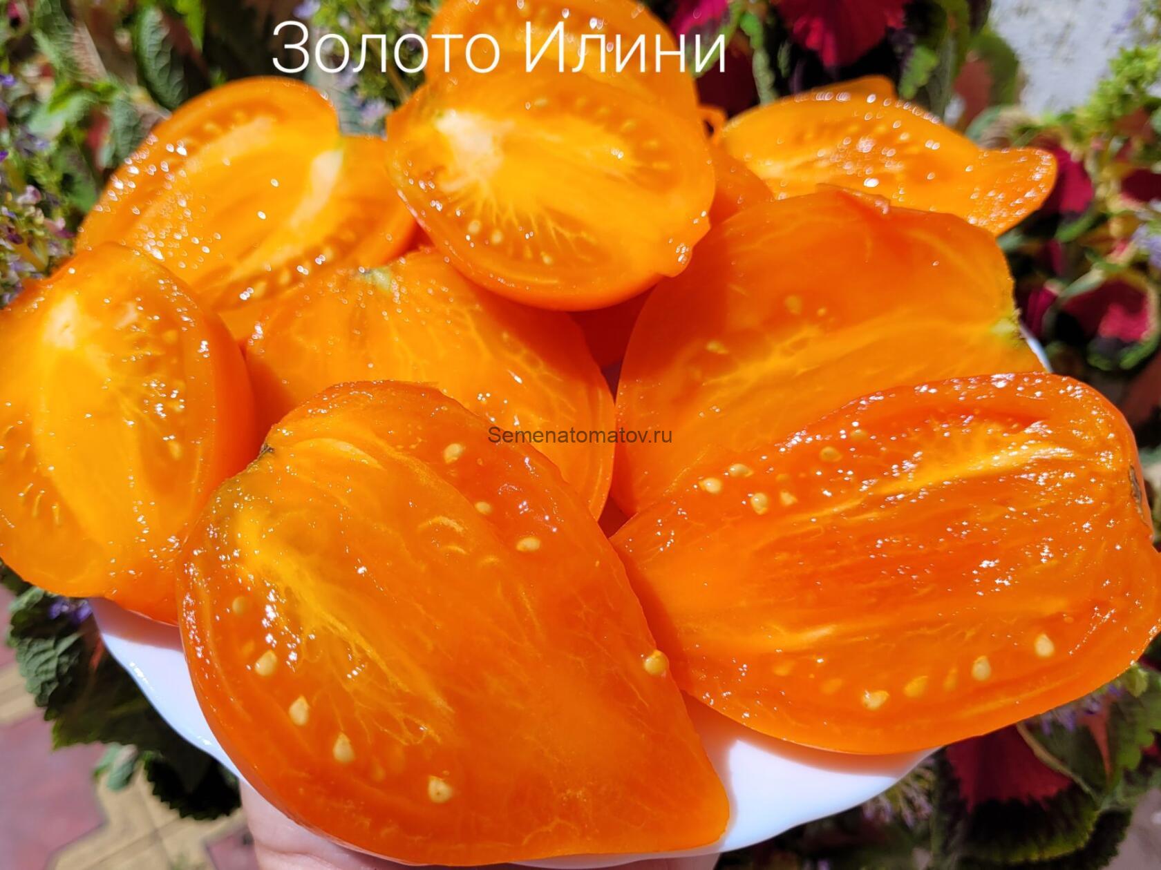Золото Илини — изображение 2