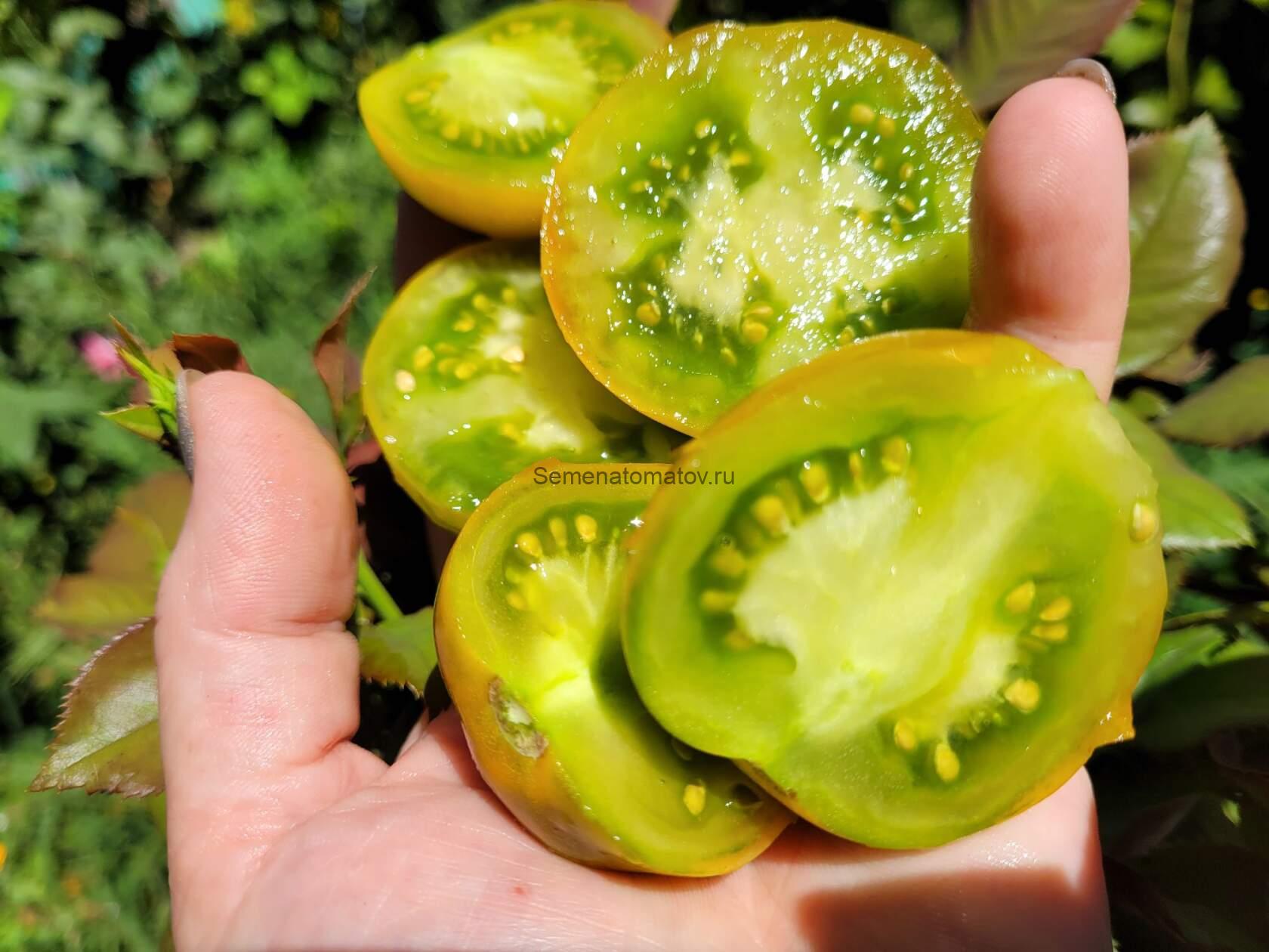 KANGAROO PAW GREEN (ЗЕЛЕНАЯ ЛАПА КЕНГУРУ — изображение 2