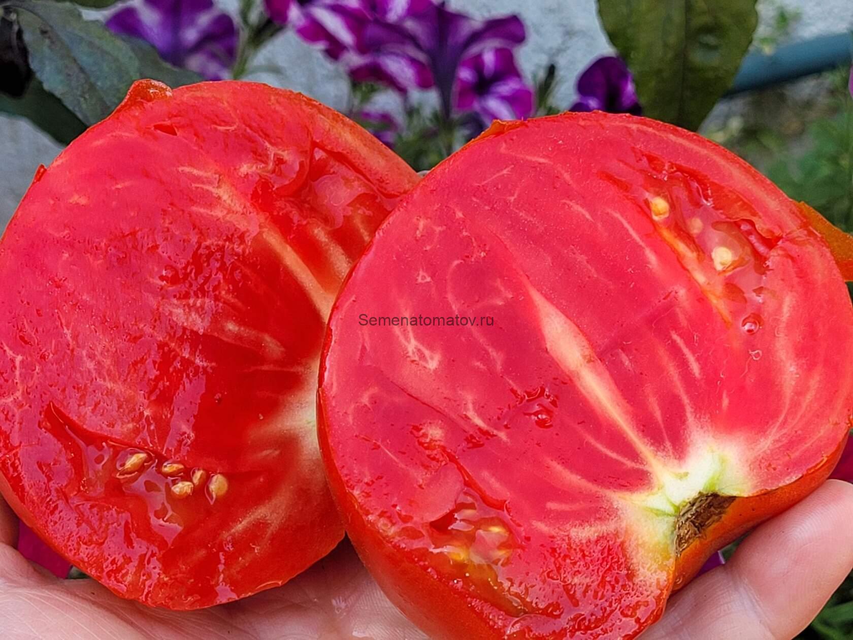 Красавчик Красный — изображение 3