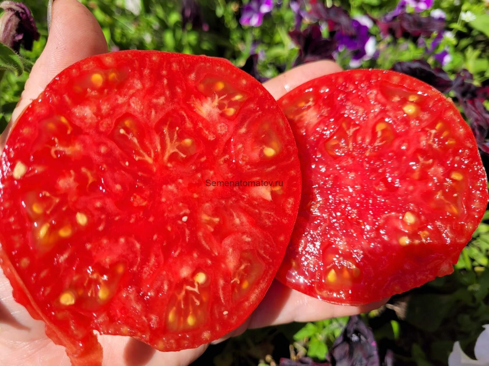 Кубанский Домашний Розовый — изображение 2