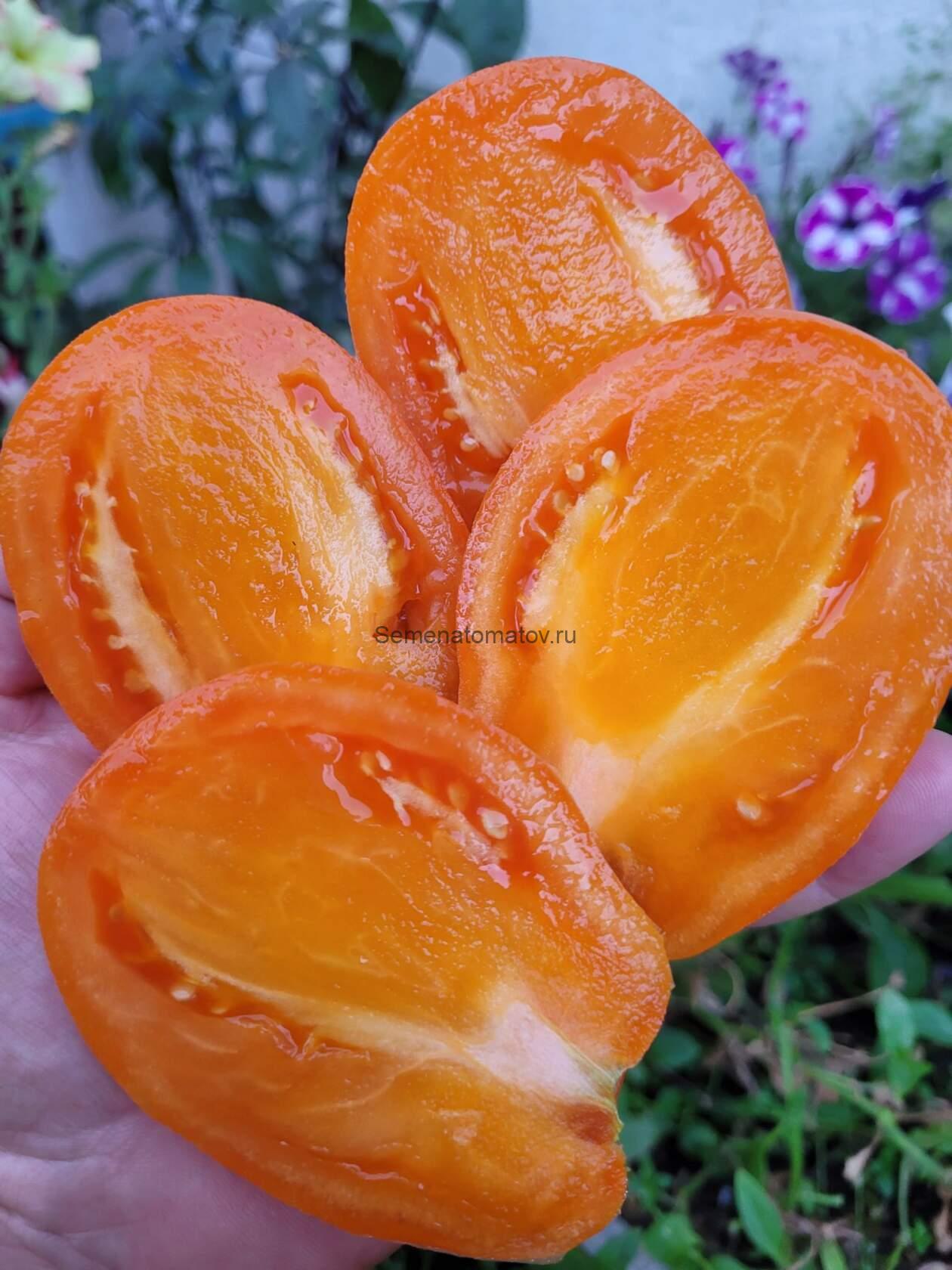 Минусинский Лапоть Оранжевый — изображение 2