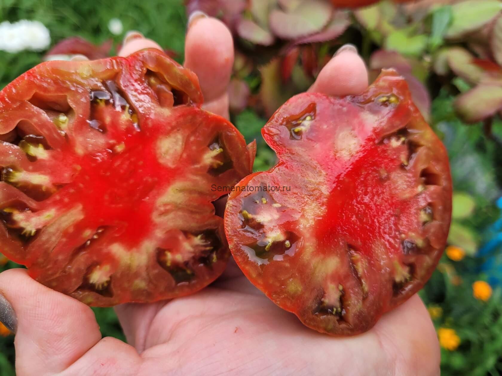 МОЙ ЛУЧ СВЕТА — изображение 2