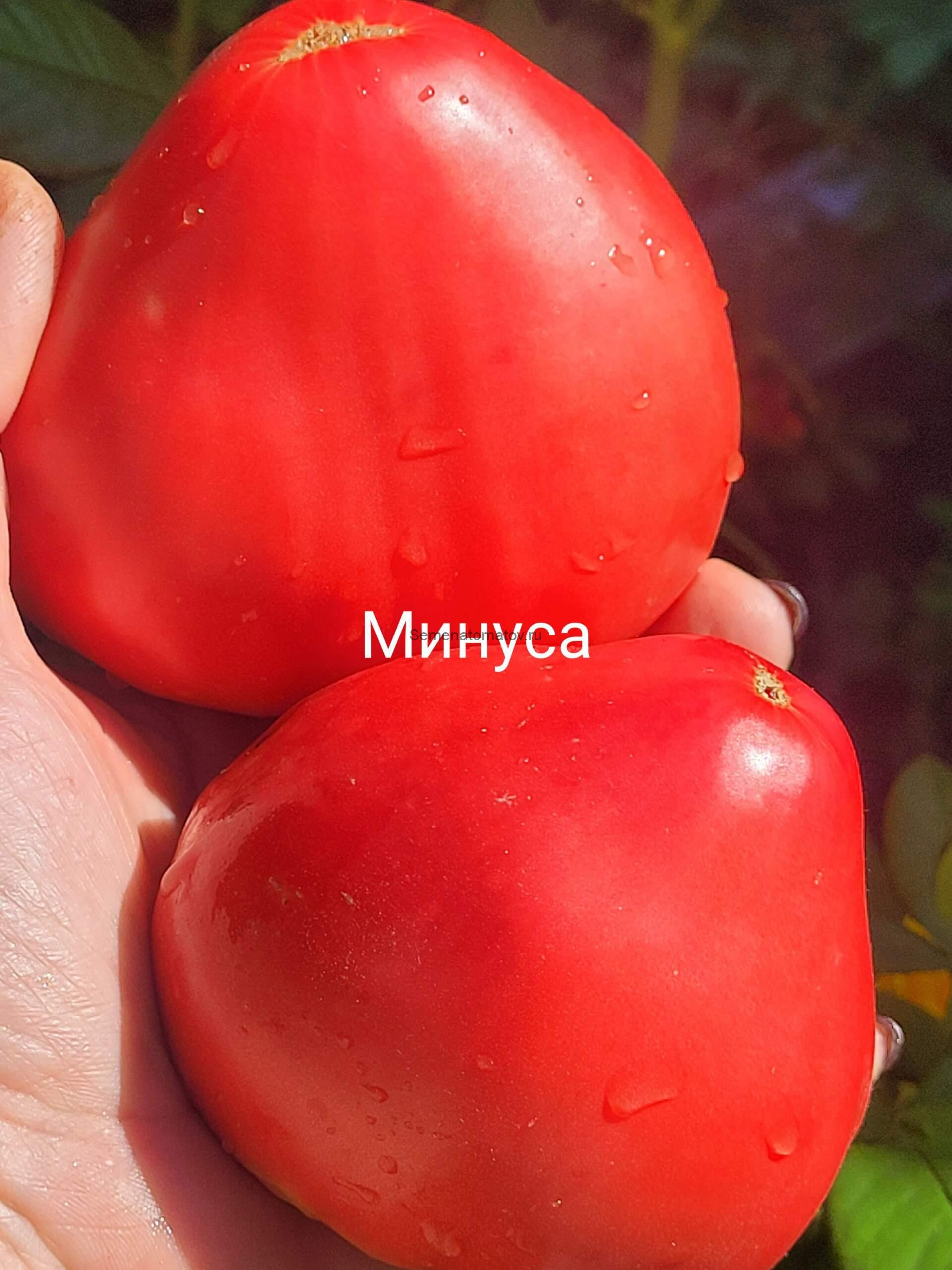 Минуса — изображение 3