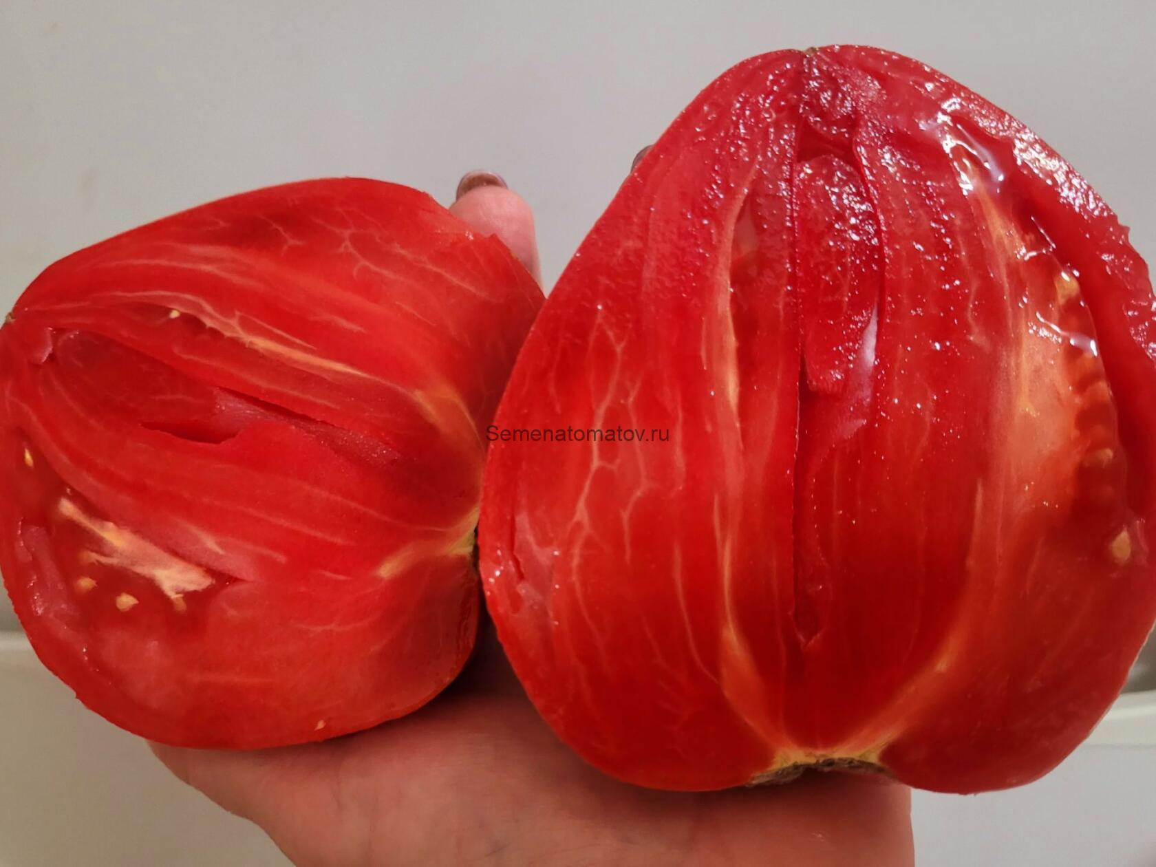 Минуса — изображение 2