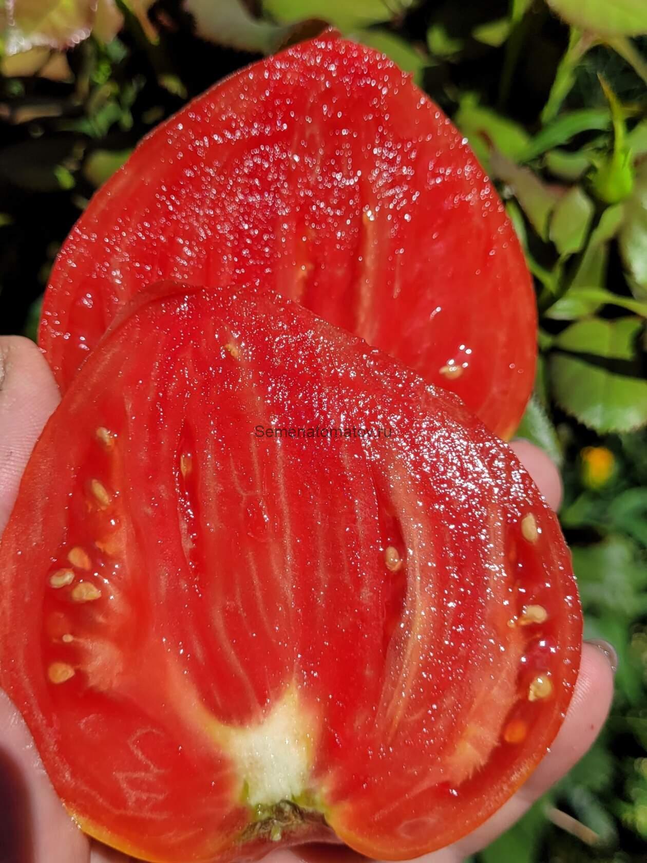 HOLY MYRRHBEARER Святая Мироносица — изображение 2