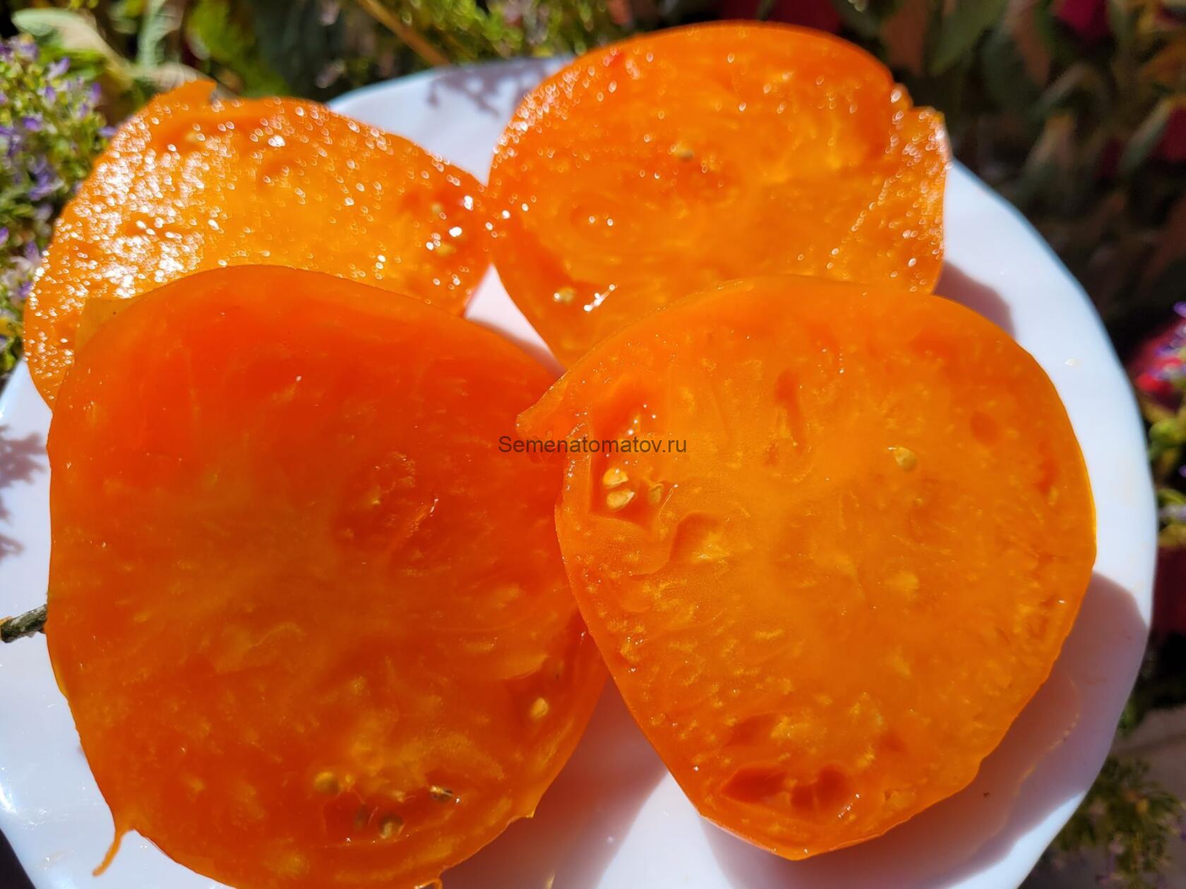 Оранжевый гигант от Гонсиоровского — изображение 2