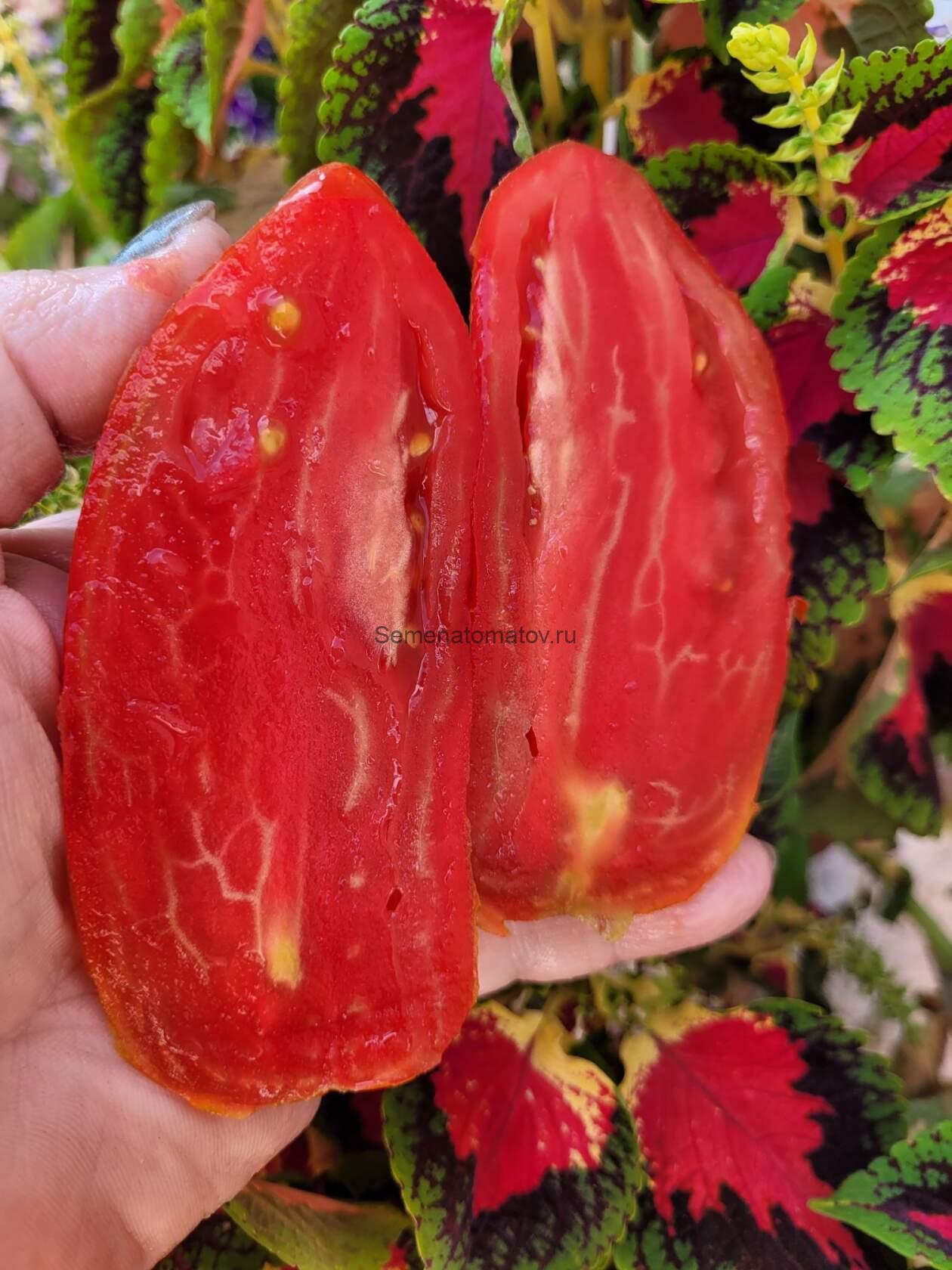 Dad's Barber Paste --Паста папы парикмахера — изображение 2