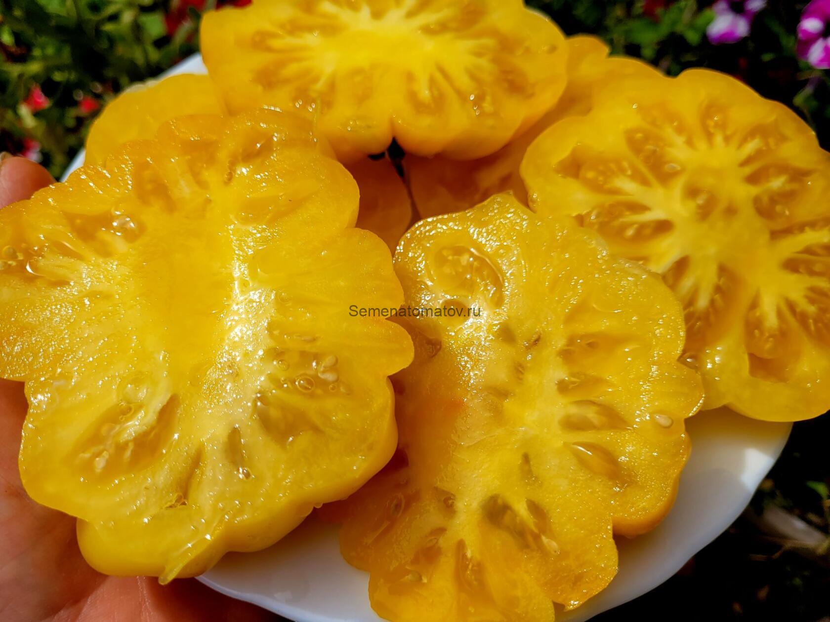 Питанга желтая (Pitanga Yellow, Италия) — изображение 2