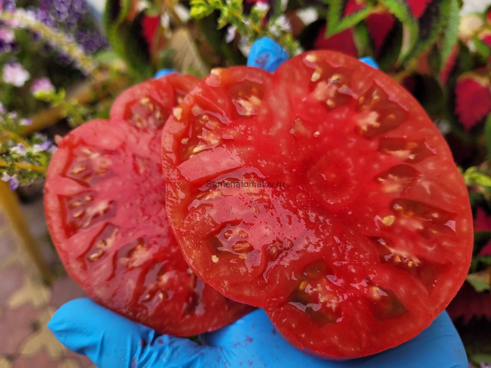 Pombriego del Bierzo (Помбриего дель Бьерсо) — изображение 2