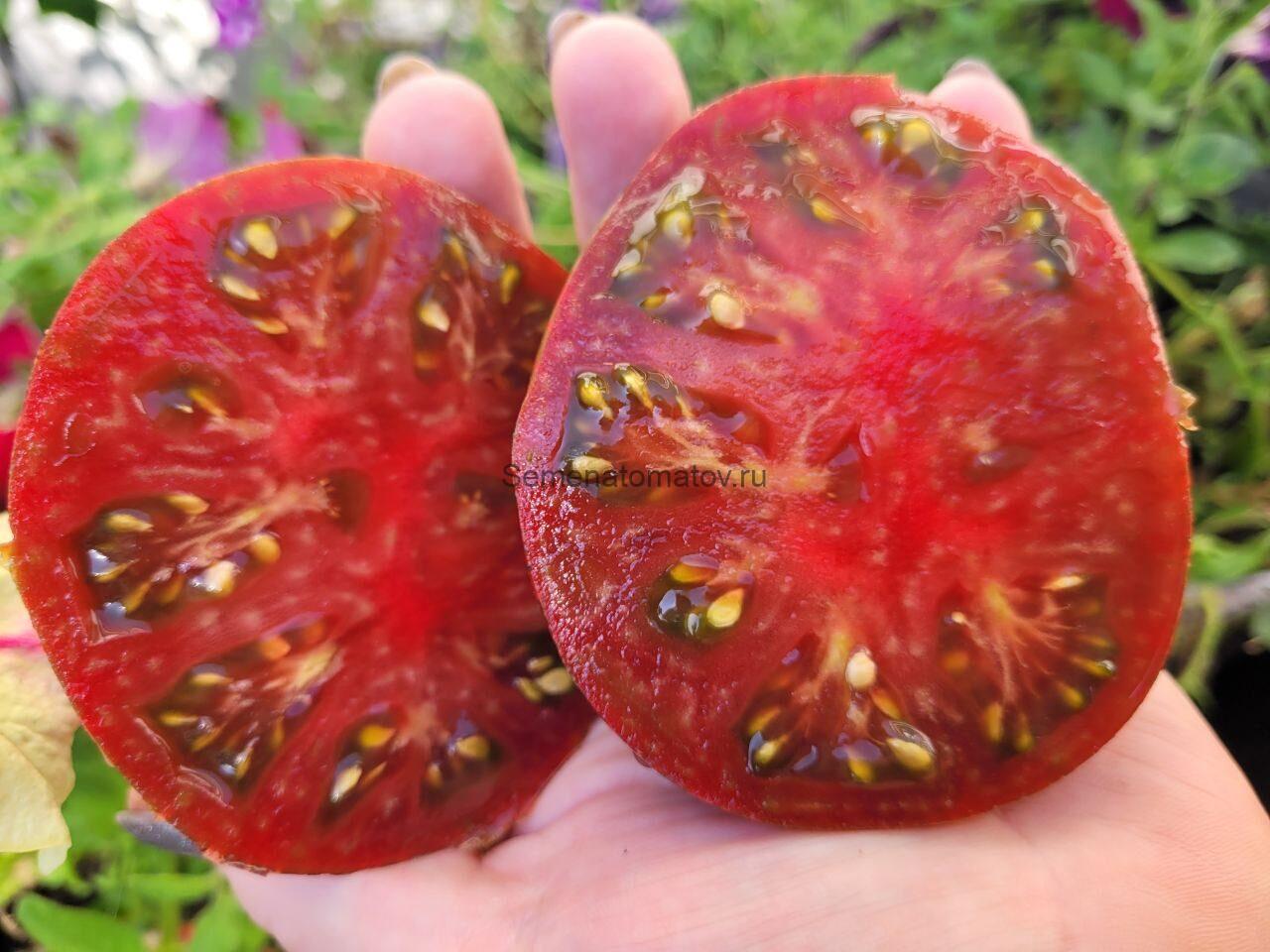 Гном ППИ ( PPI, США) — изображение 2