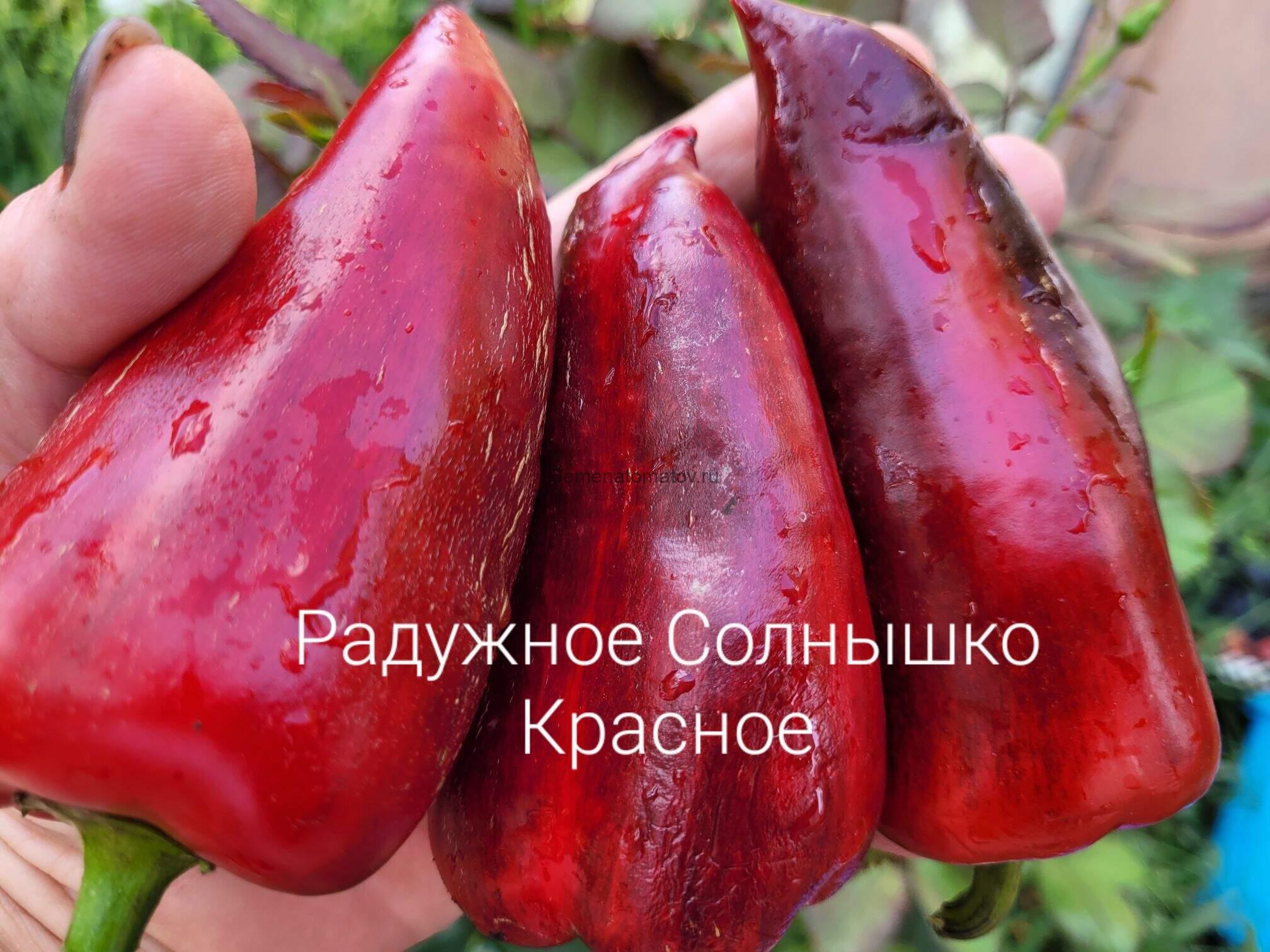 Солнышко Радужное Красное