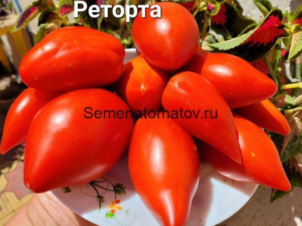 Реторта (San Marzano Redorta) США