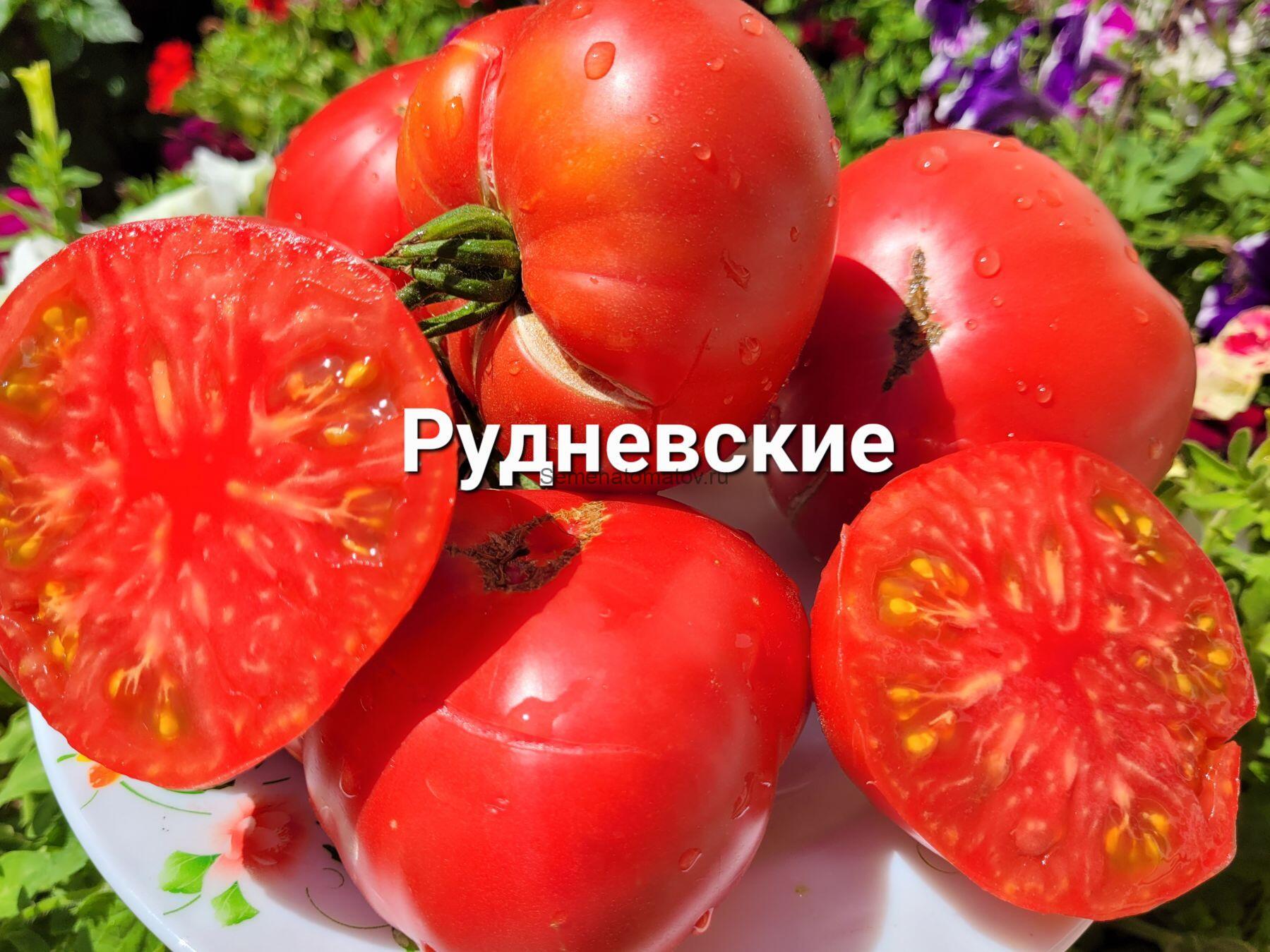 Рудневские