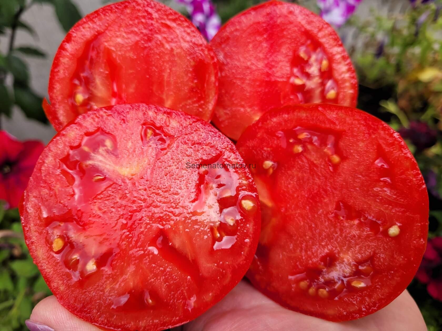 Сердцеедка — изображение 2