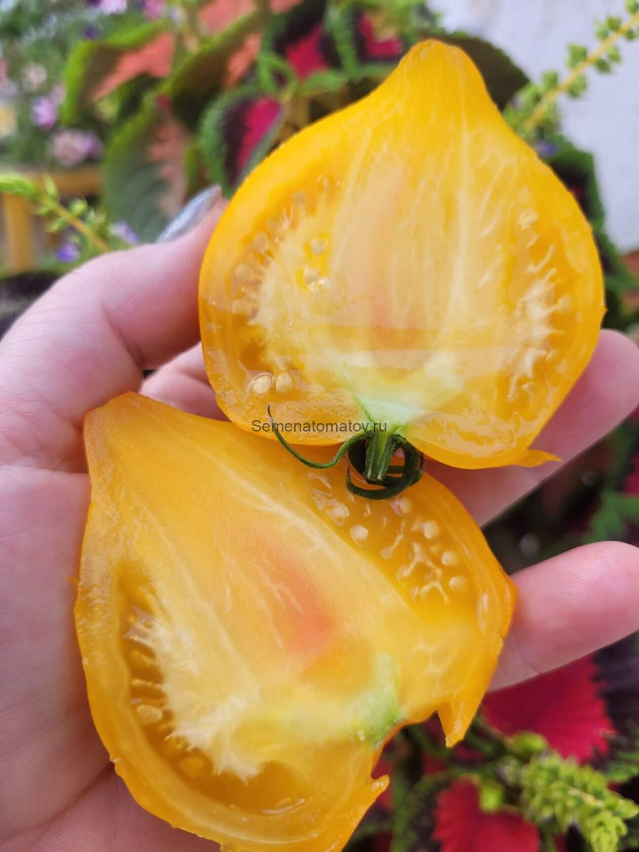 Corazon de Cordoba (Сердце из Кордоба) — изображение 2