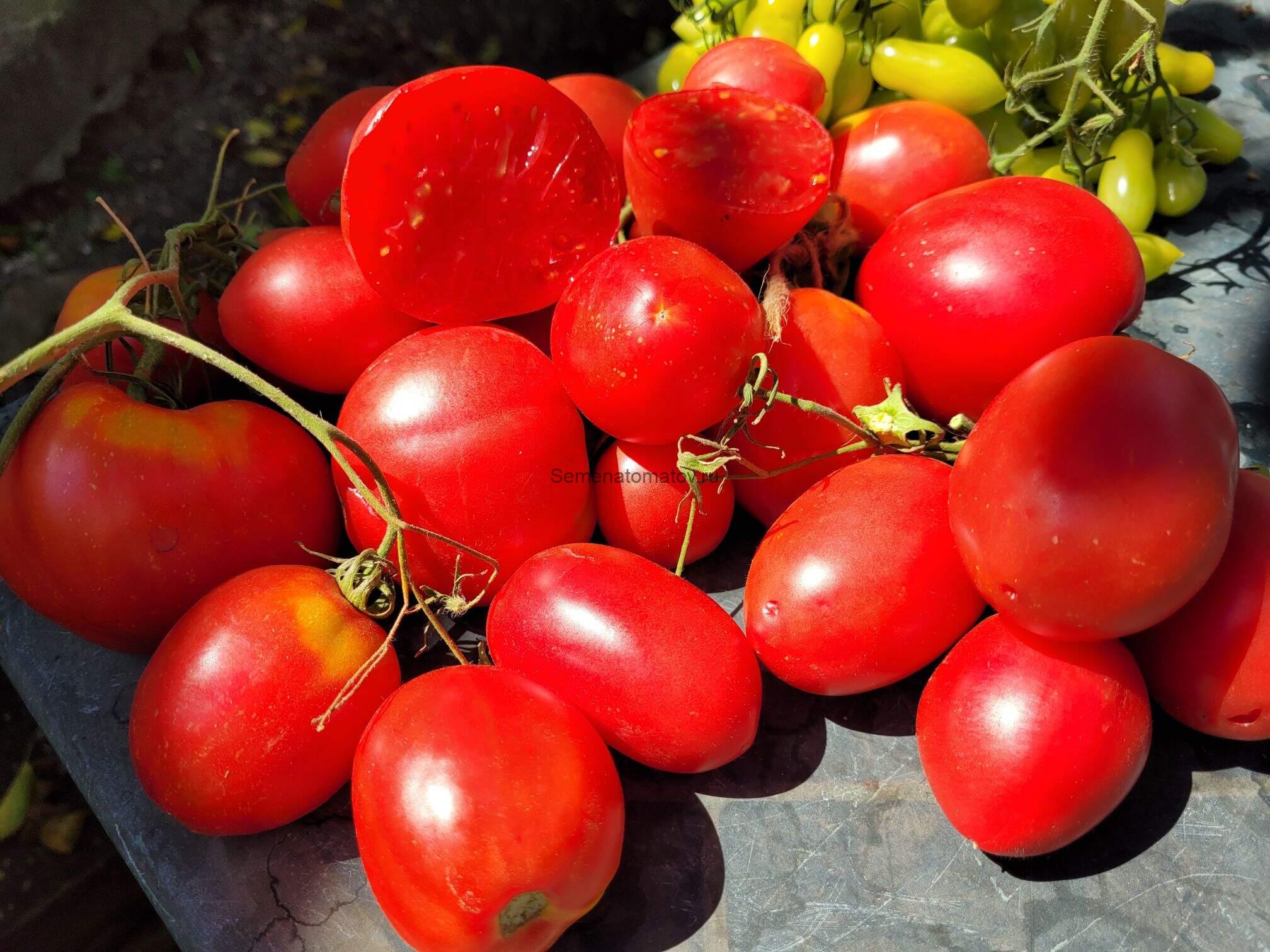 Simo Finland (Симо Финляндия) — изображение 2