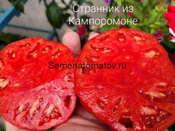 STRANO DI CAMPOMORONE Странно ди Кампромоне — изображение 2