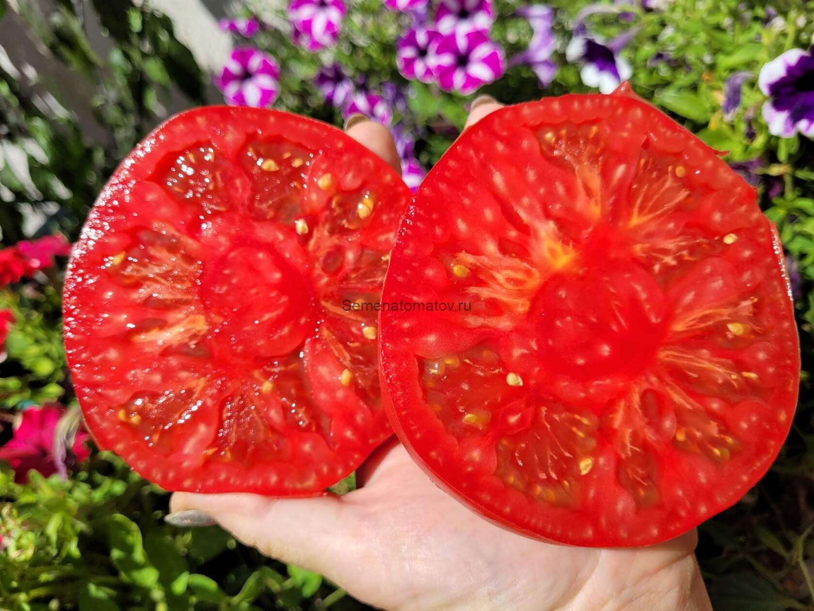 Rosii  Mari  de Suceava Крупный из Сучавы — изображение 2