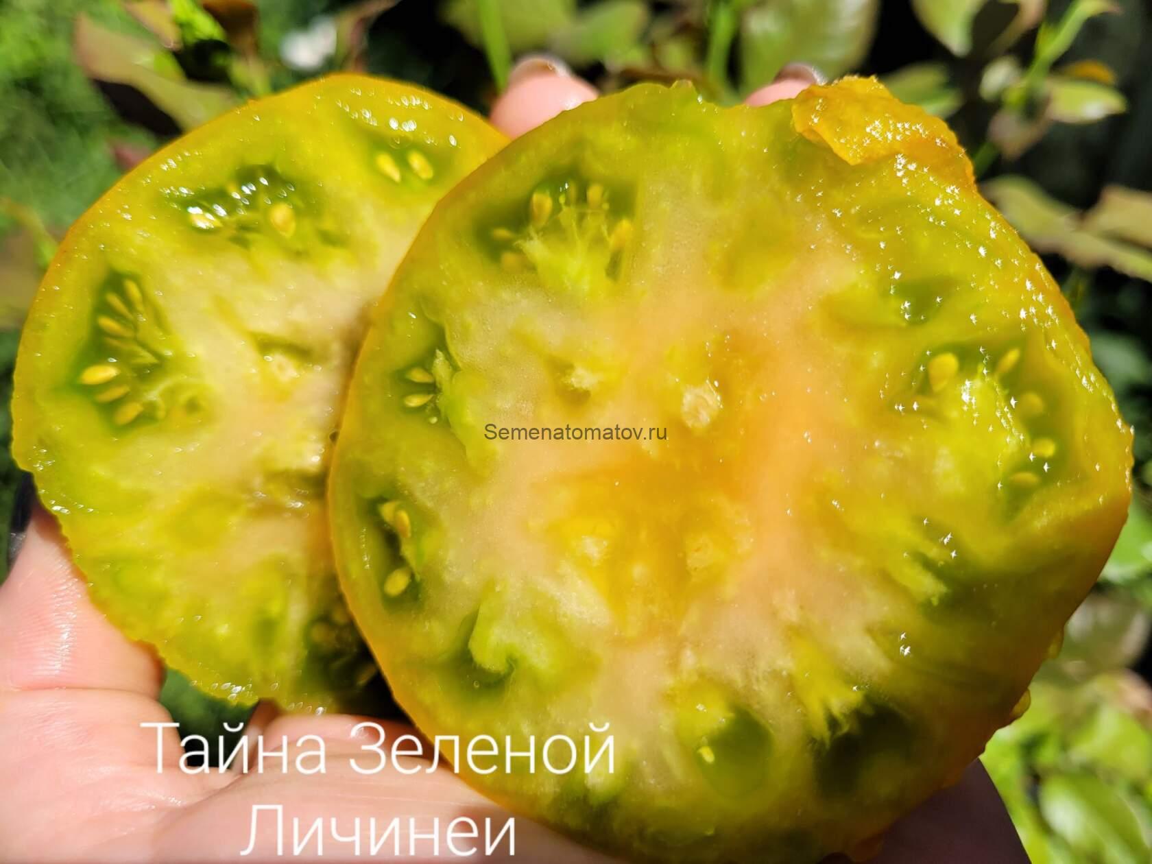 Зеленая Тайна Личинки — изображение 2