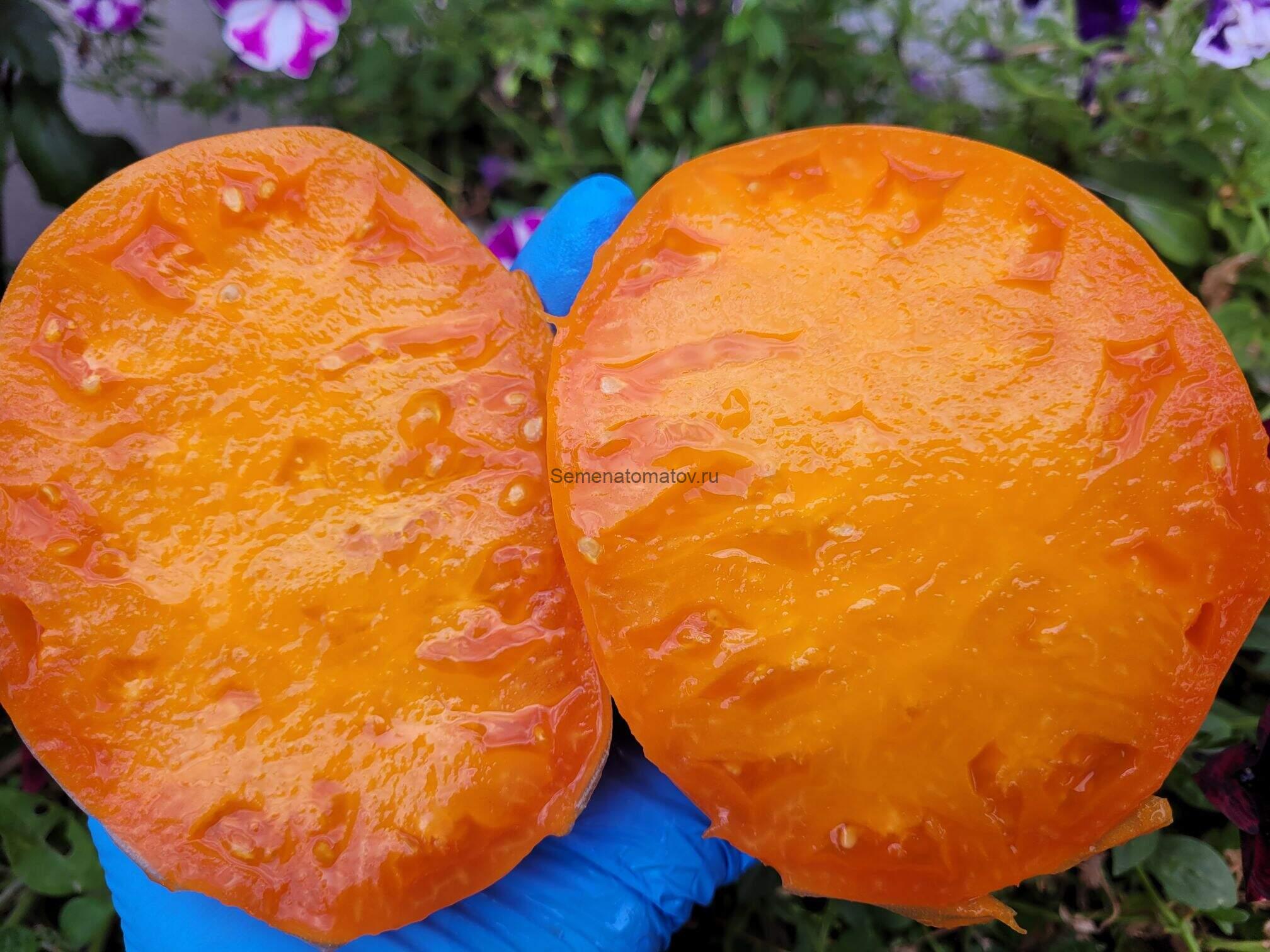 AUNT EULA'S ROCKHOUSE--Каменный домик тети Юлы — изображение 2