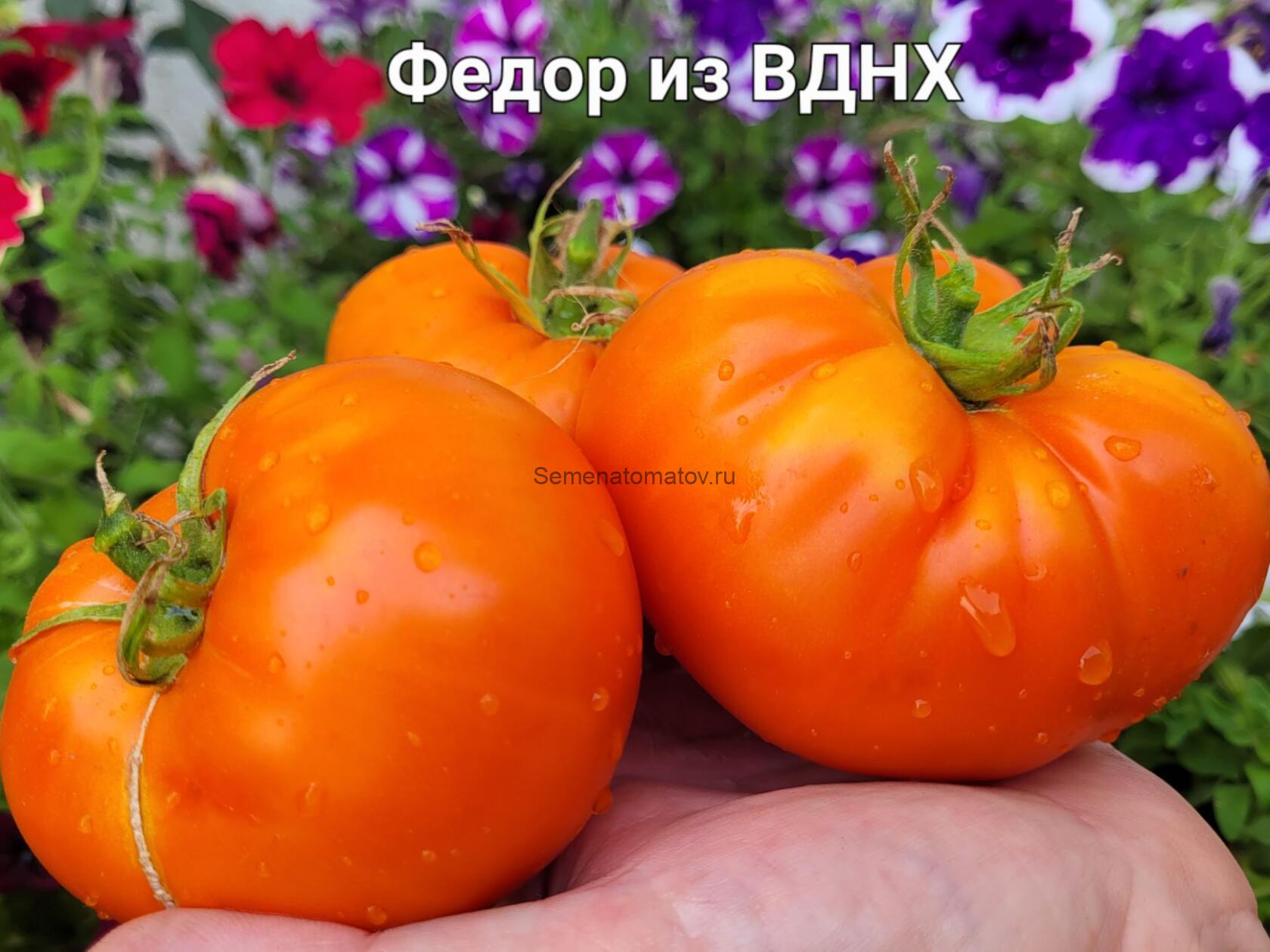 Федор с ВДНХ
