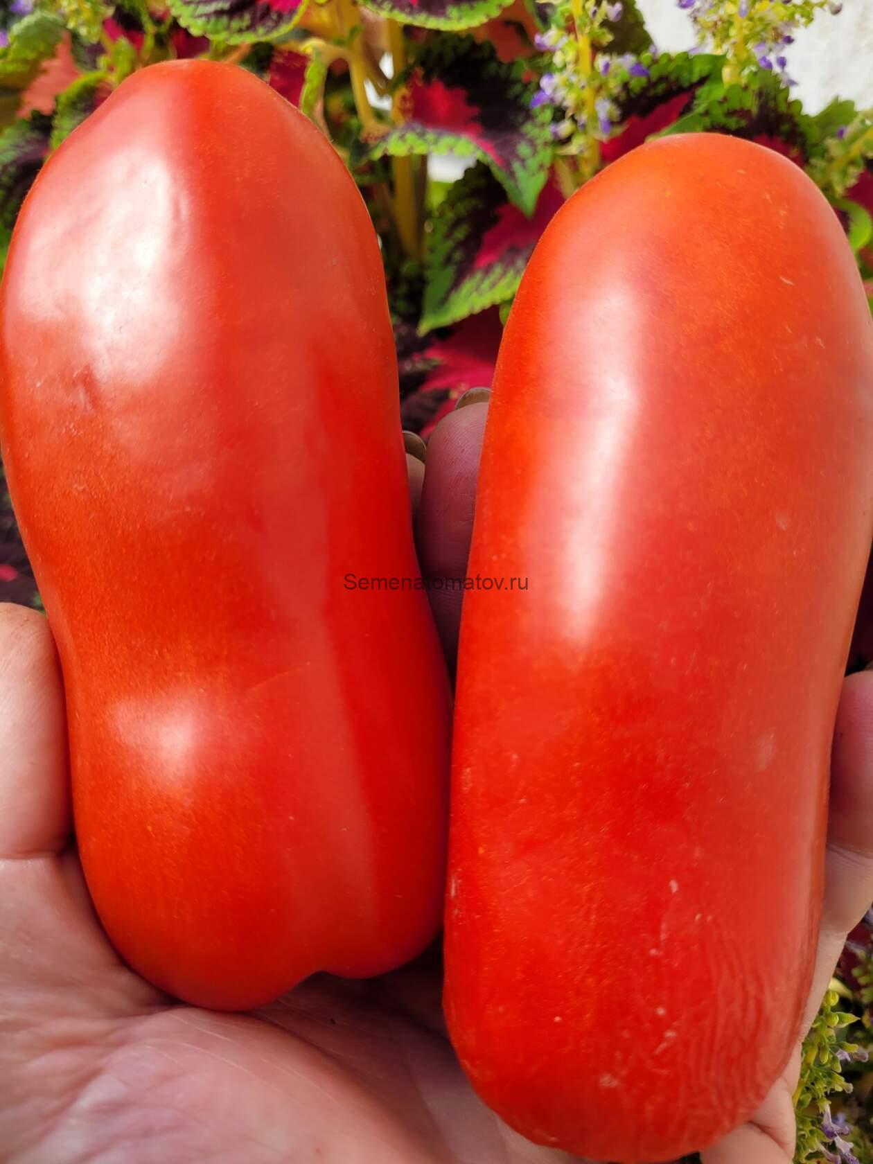 La Flappa Фляга Италия